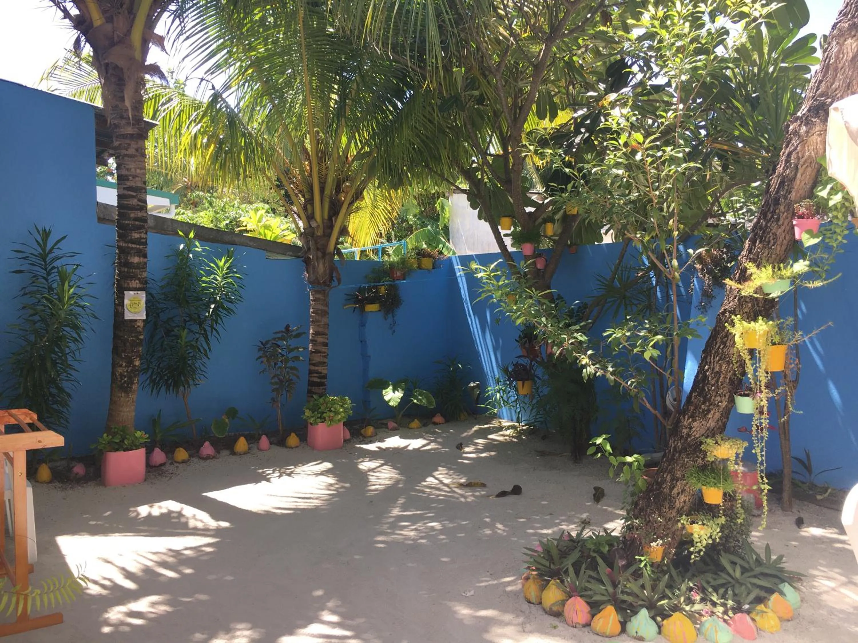 Garden in Midsummer Thulusdhoo