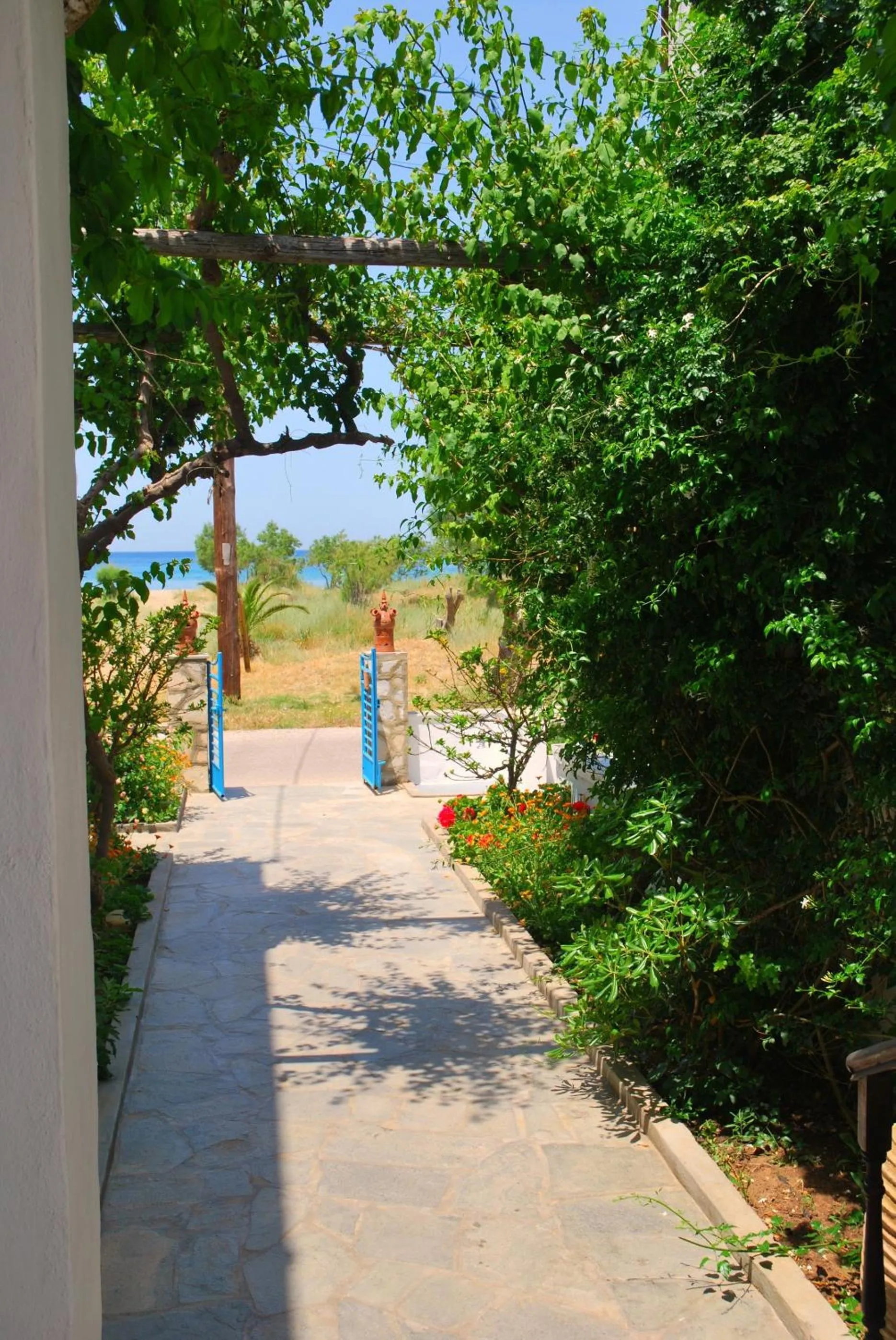 Garden in Afroditi Hotel