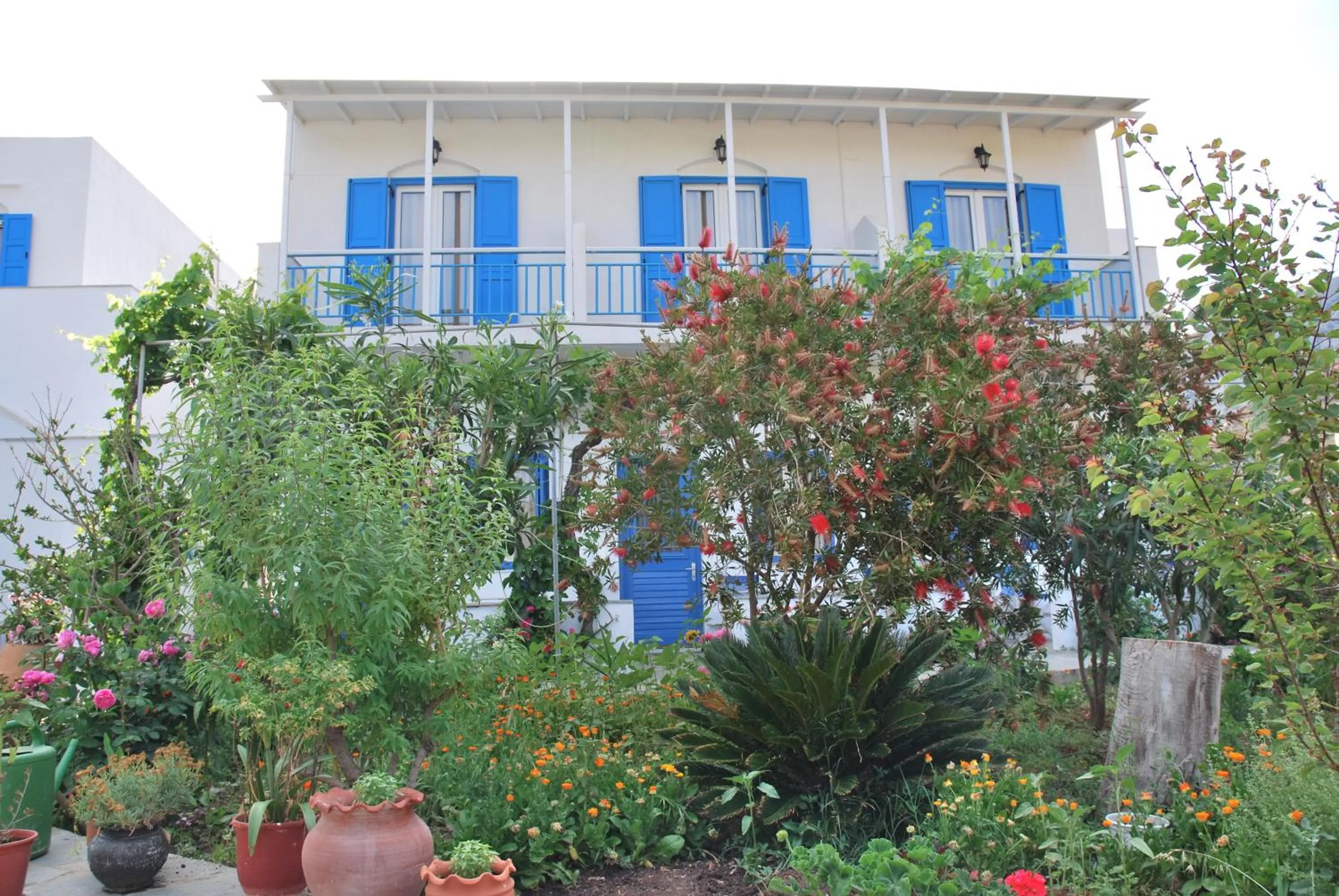 Facade/entrance in Afroditi Hotel