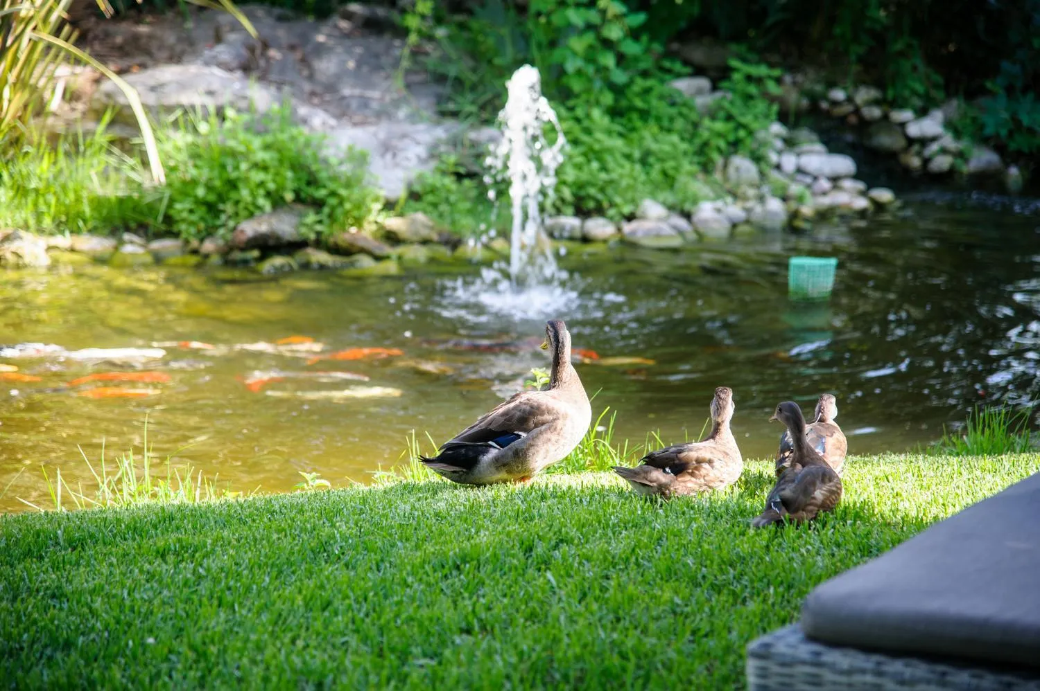 Garden in Achtis Hotel