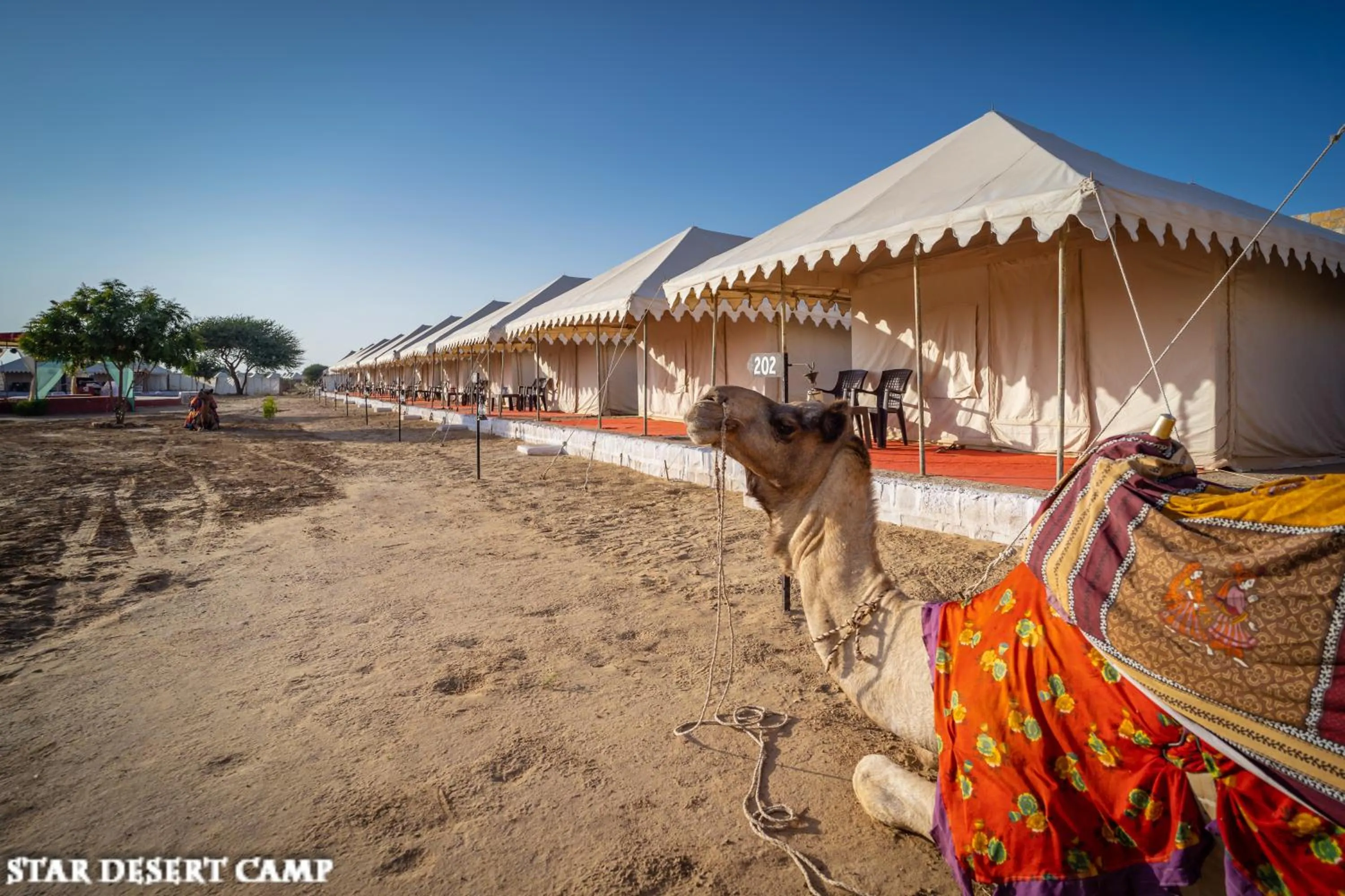View (from property/room) in Star Desert Camp Jaisalmer