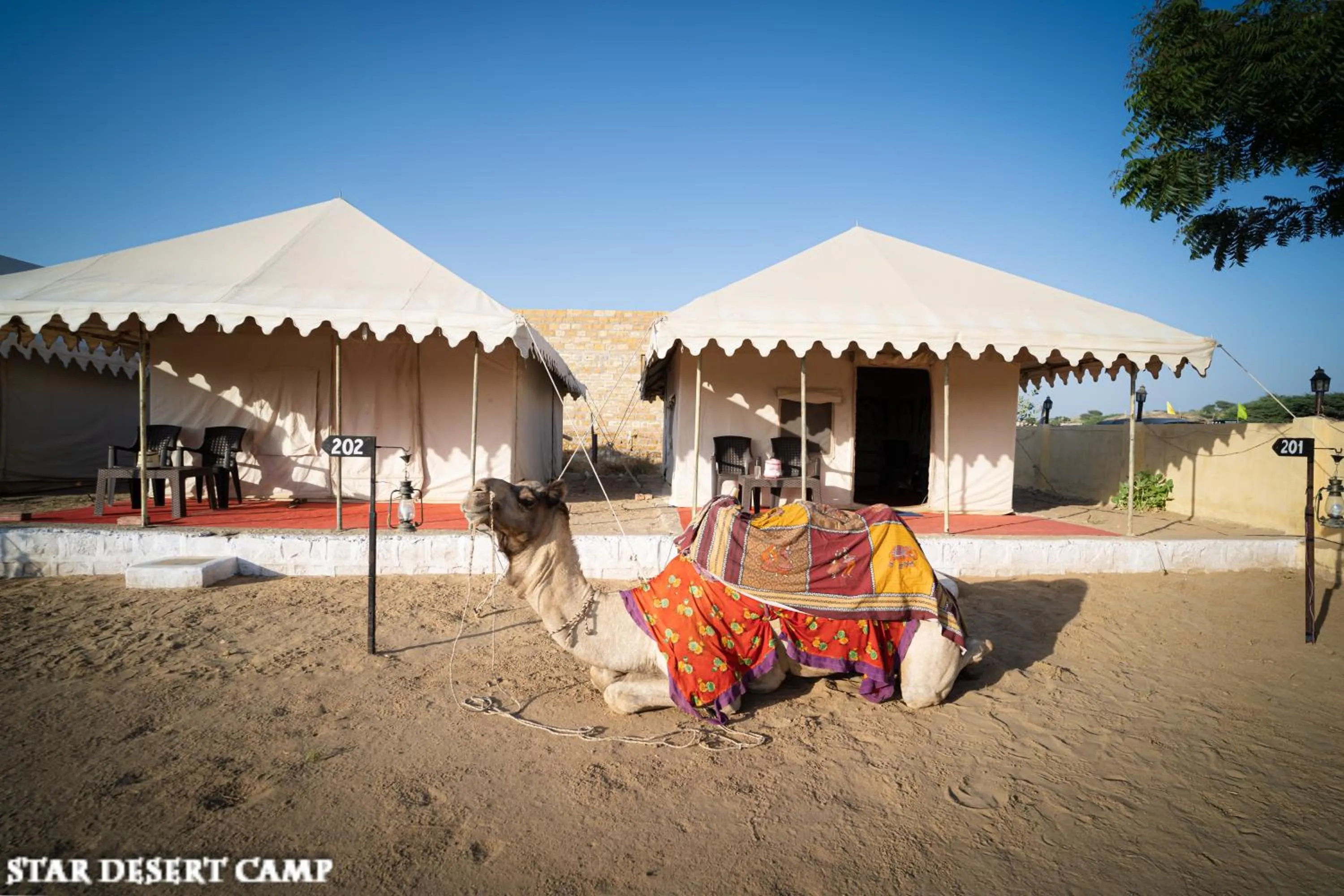 Natural landscape in Star Desert Camp Jaisalmer