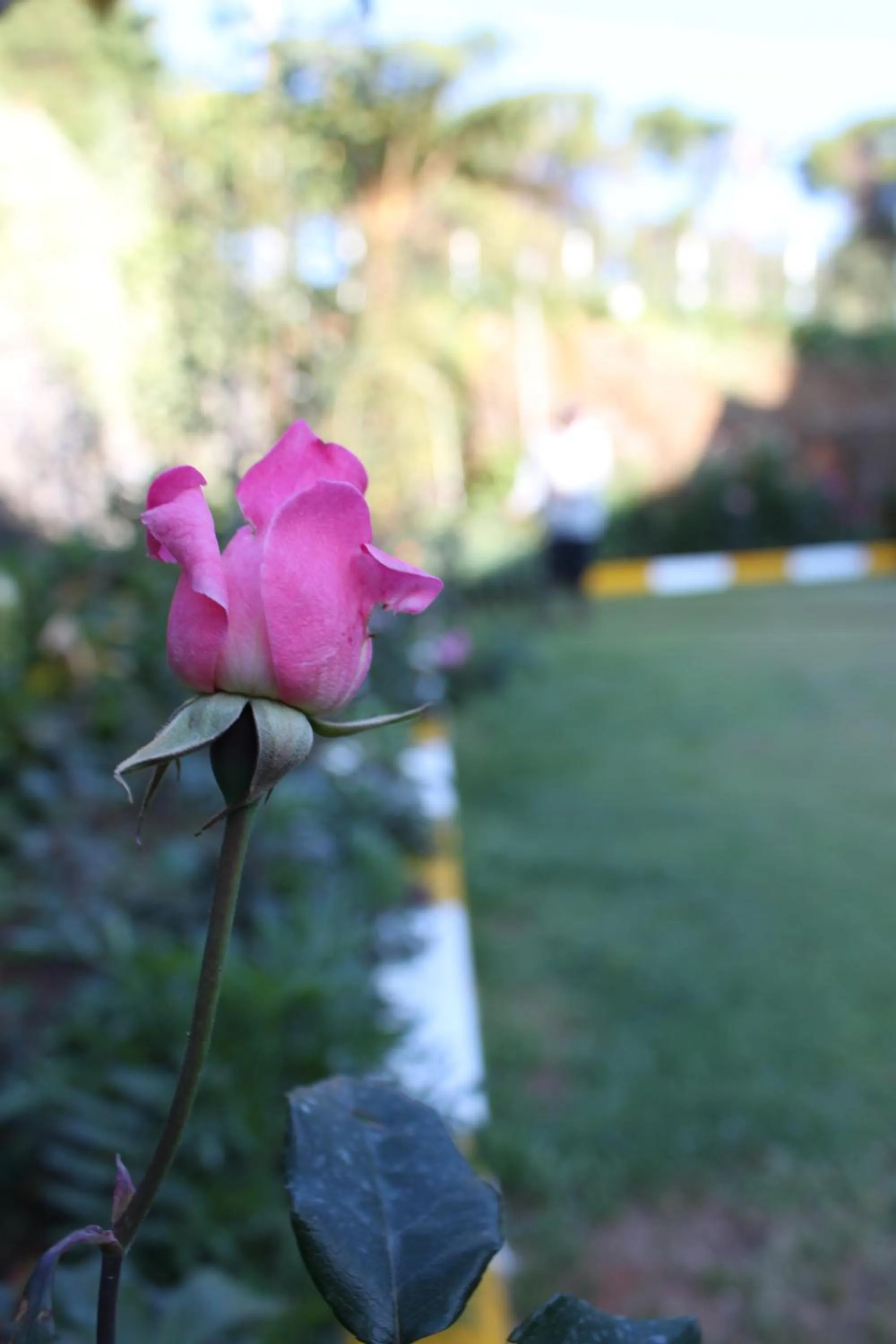 Lady Horton Bungalow