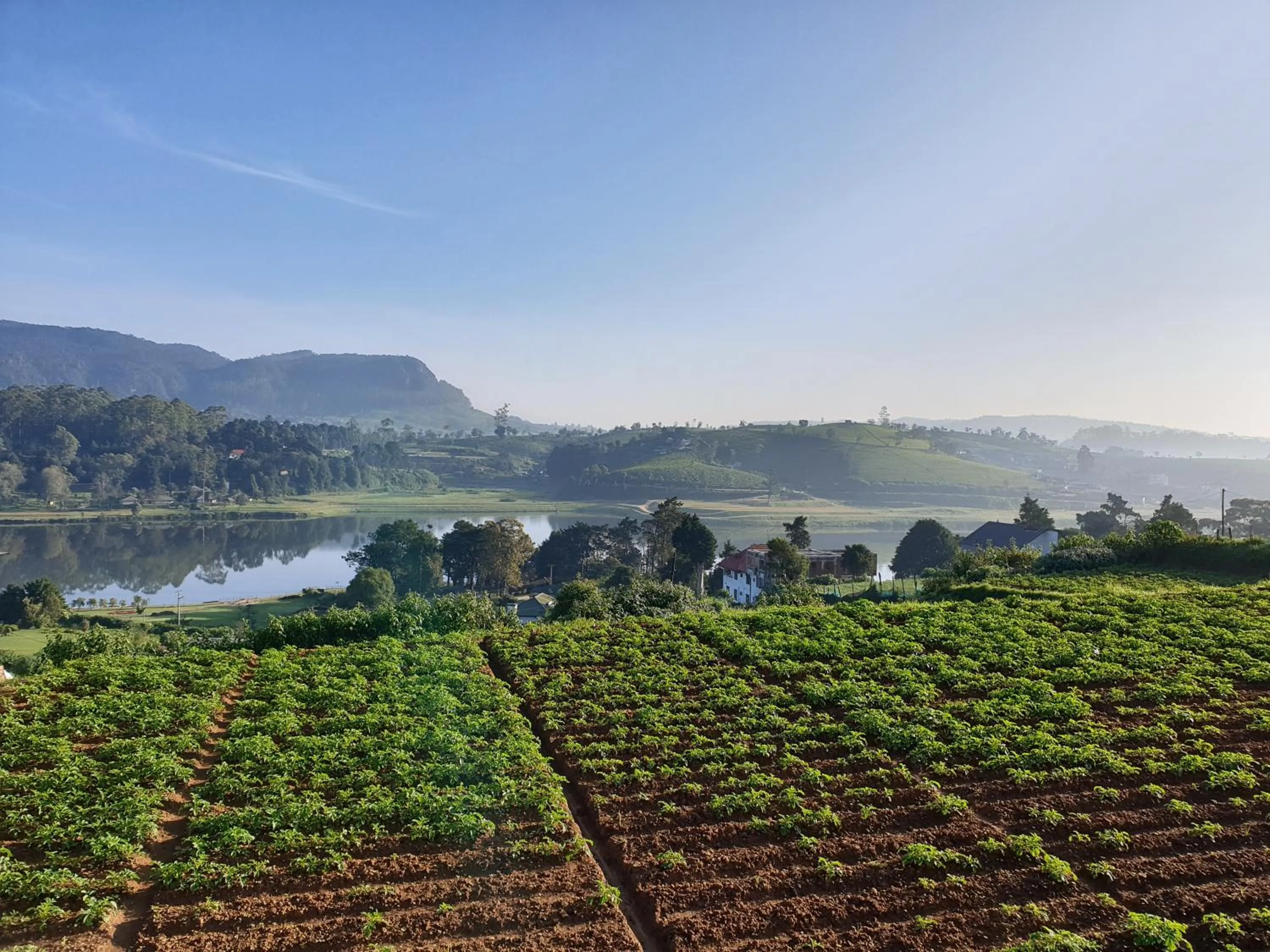 Natural landscape in Lady Horton Bungalow