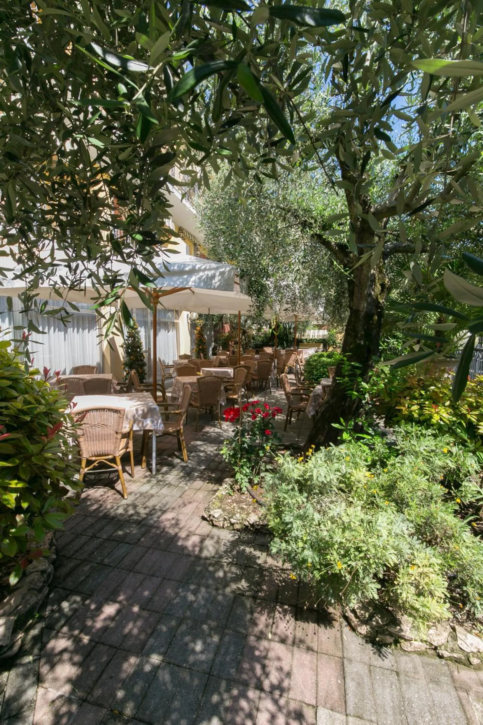 Patio in Hotel Serenella