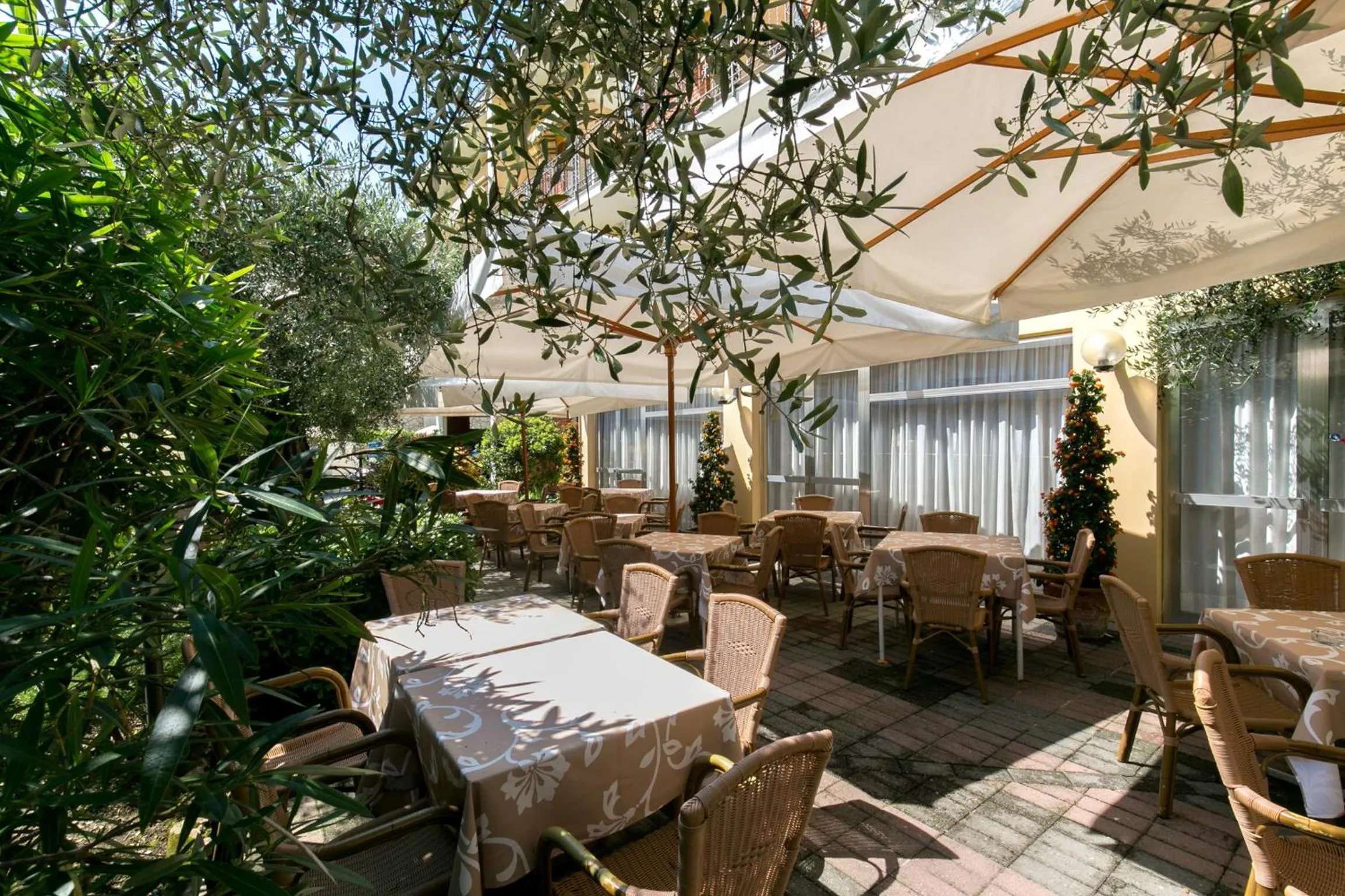 Patio in Hotel Serenella