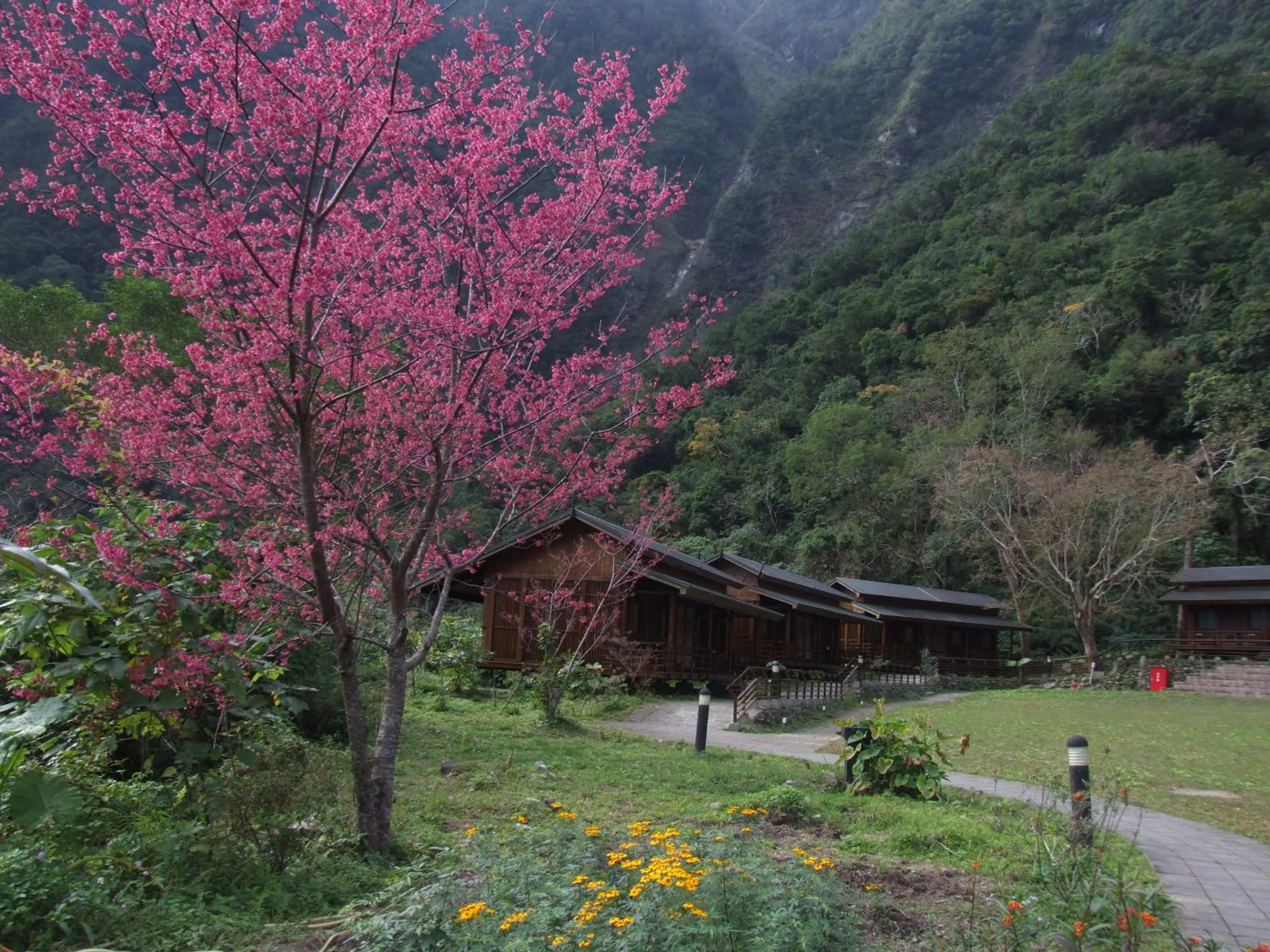 Mountain view in Taroko Village Hotel