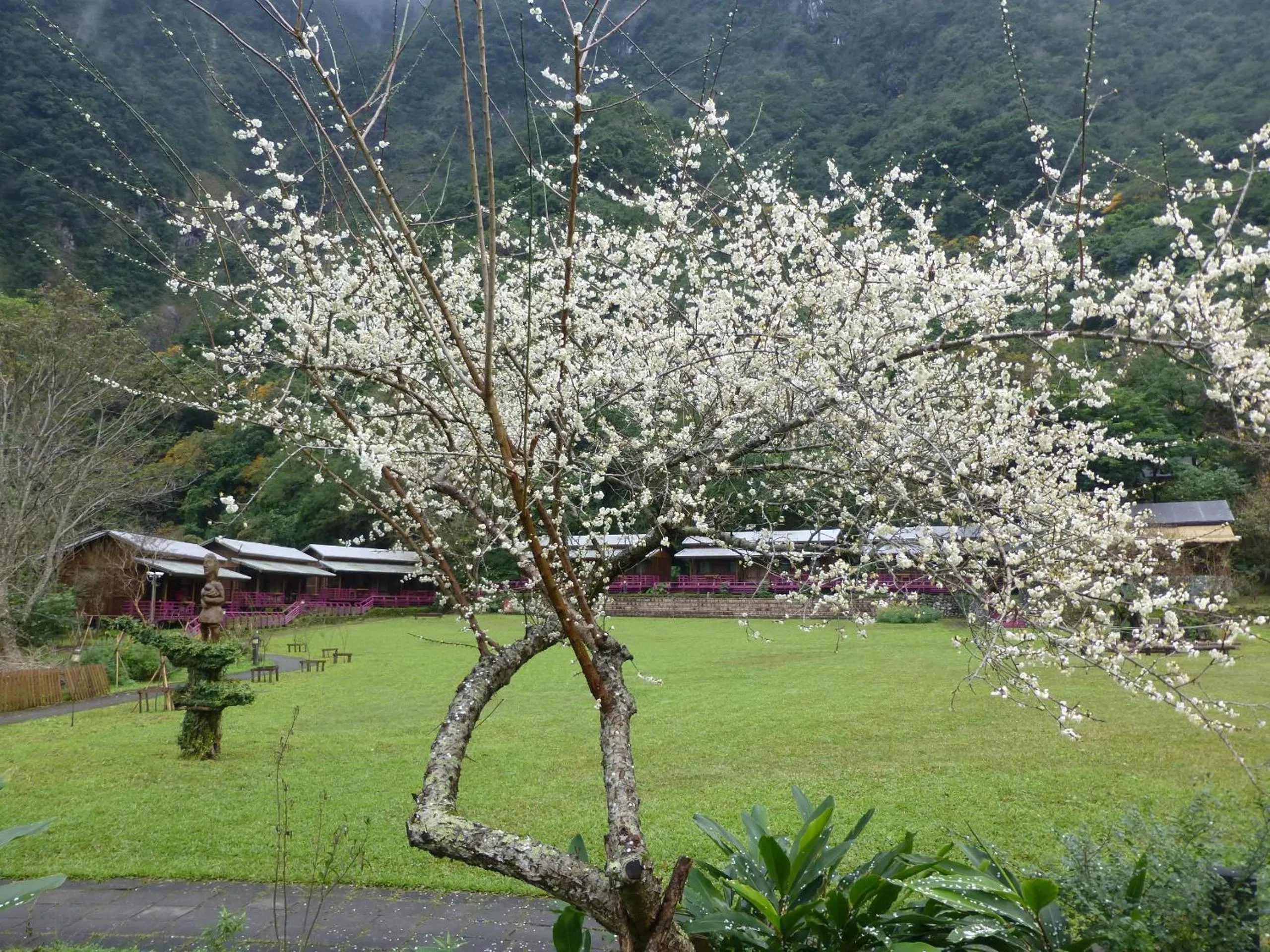 Garden in Taroko Village Hotel