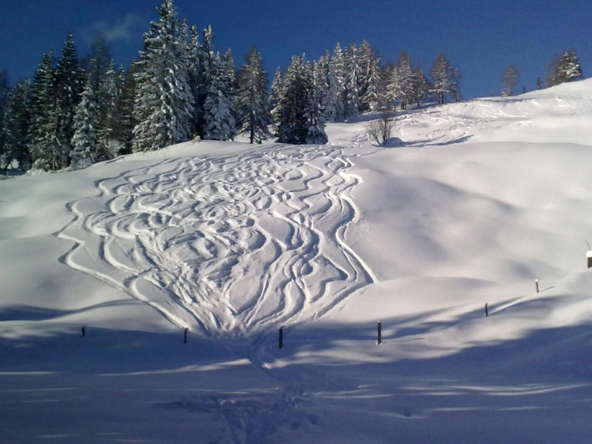 Skiing in Villa Anzengruber