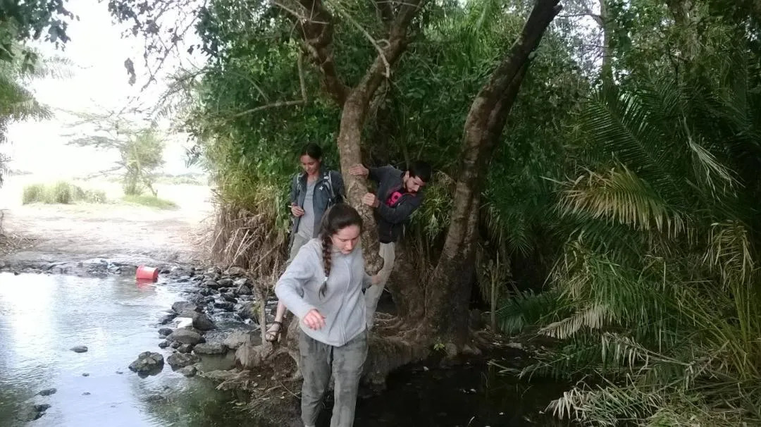 Activities in Le Parlour