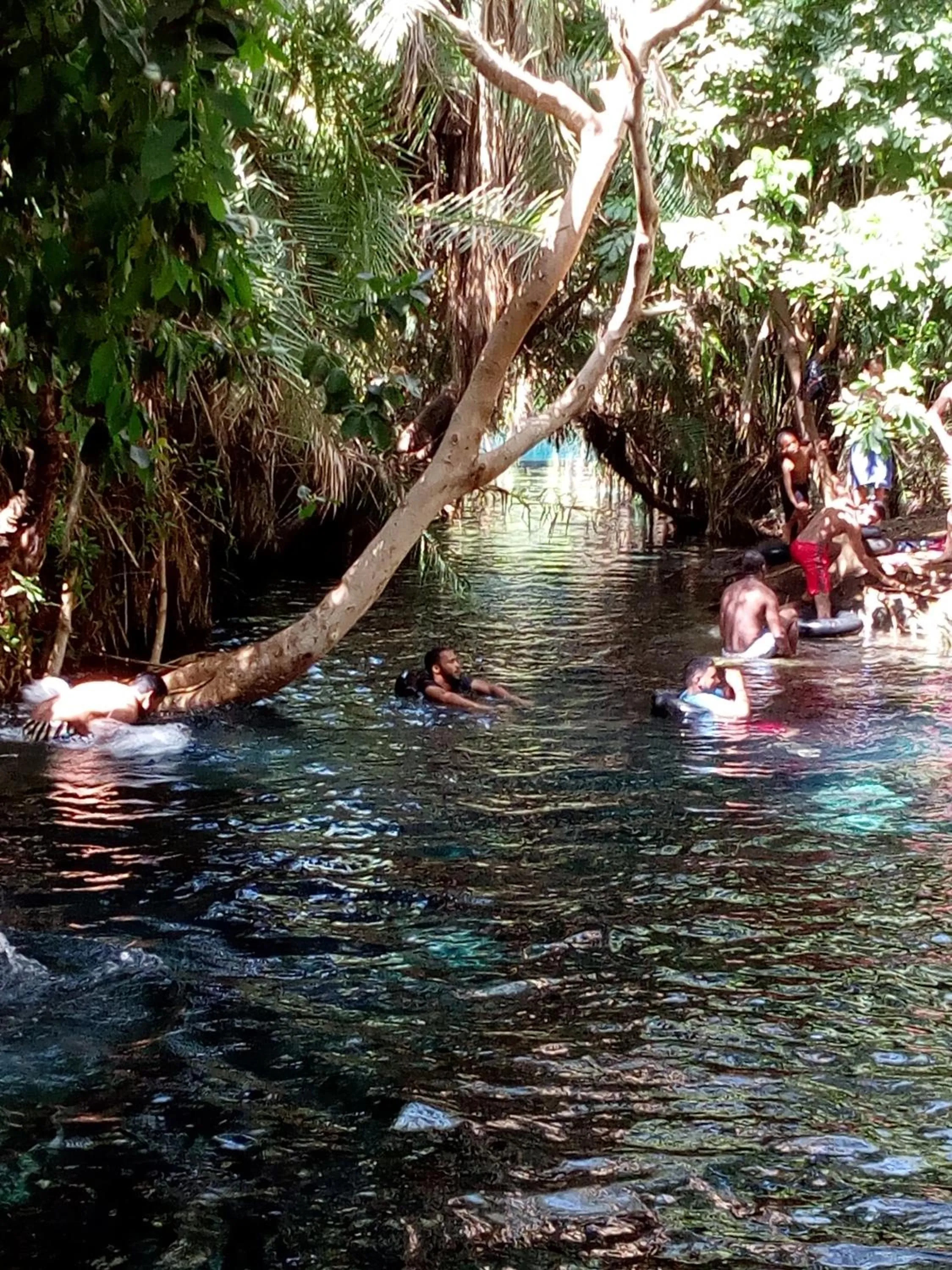 Activities in Le Parlour