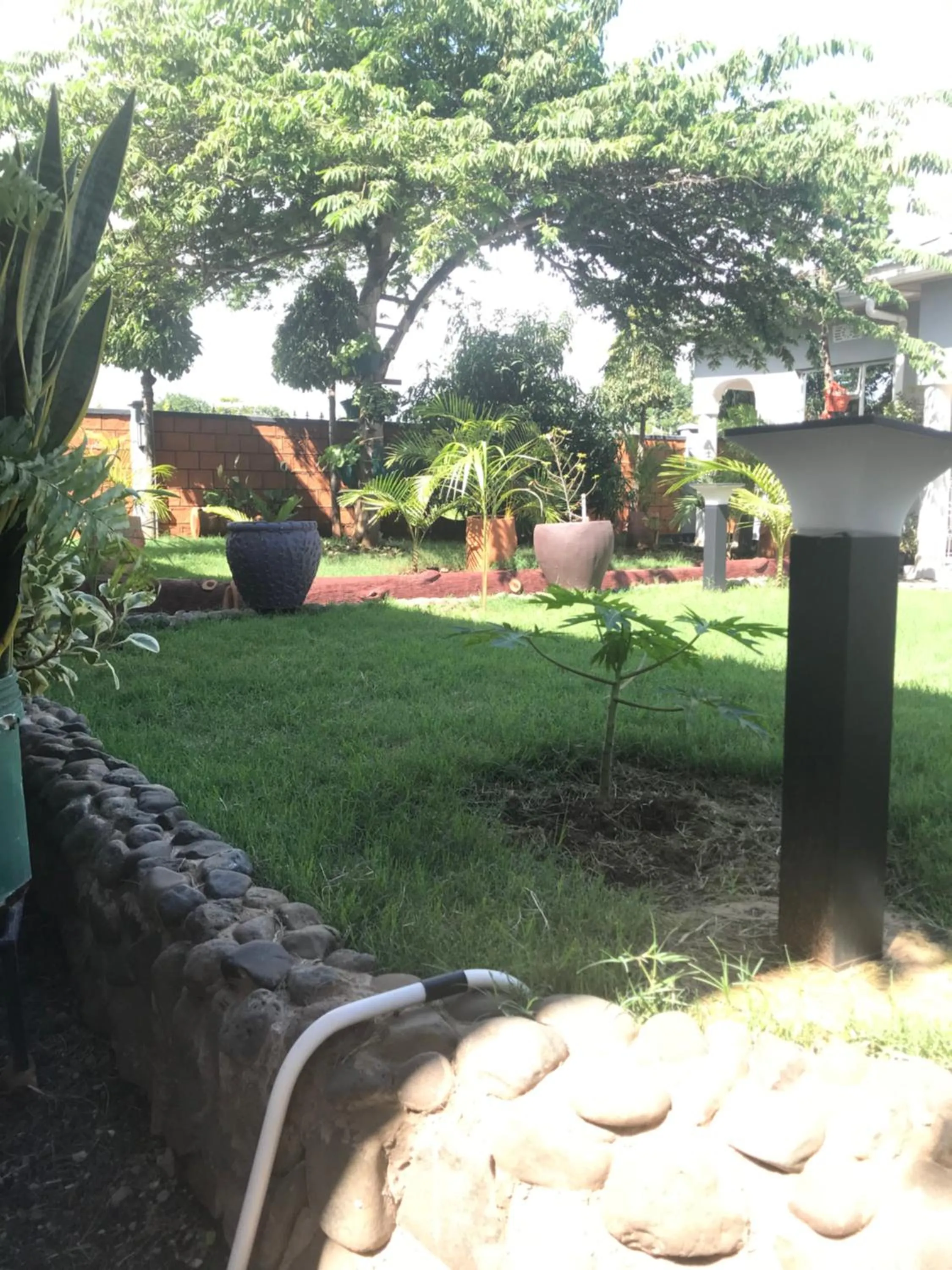 Garden in Le Parlour