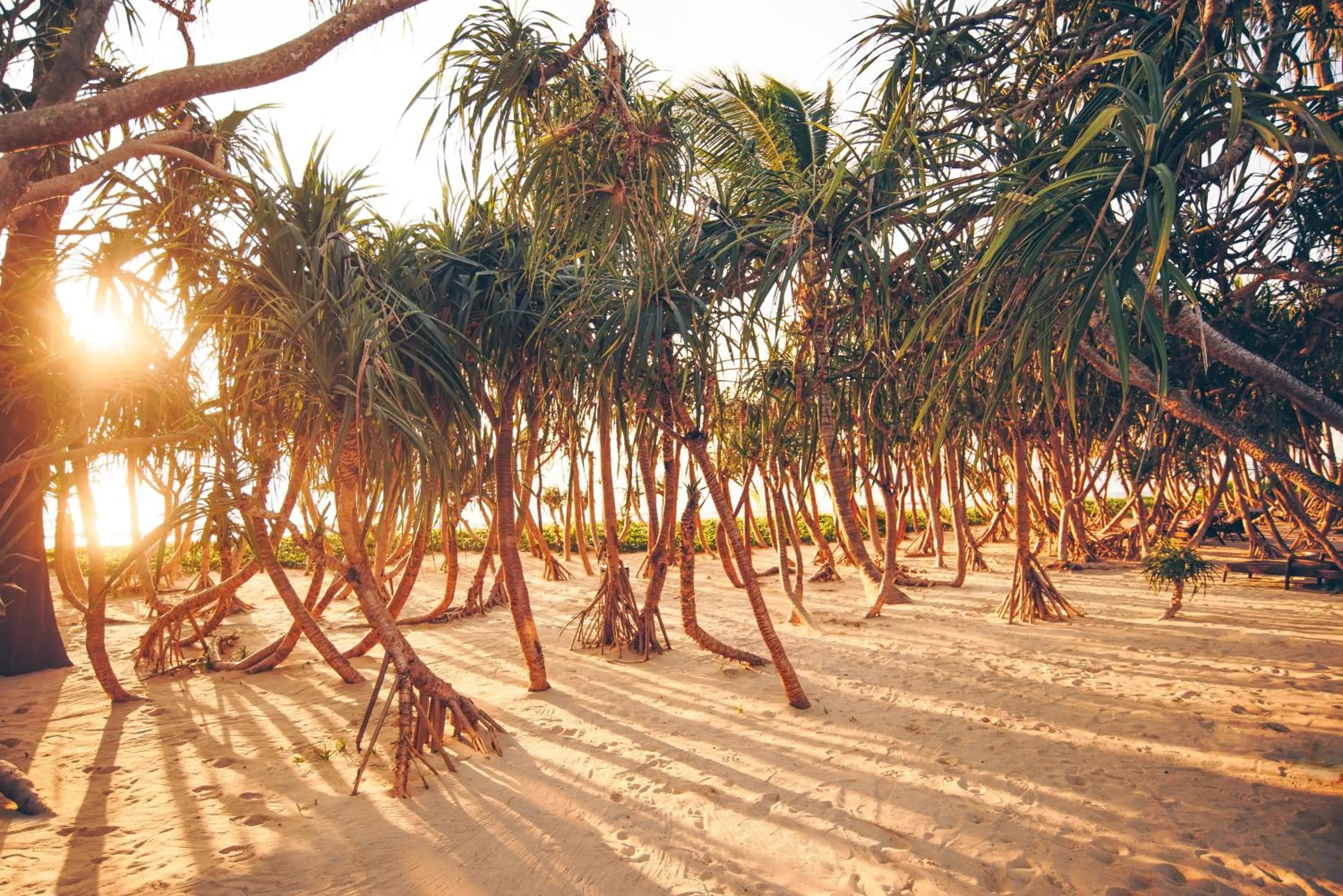 Beach in Baba Beach Club Natai Luxury Pool Villa Hotel by Sri panwa - SHA Plus