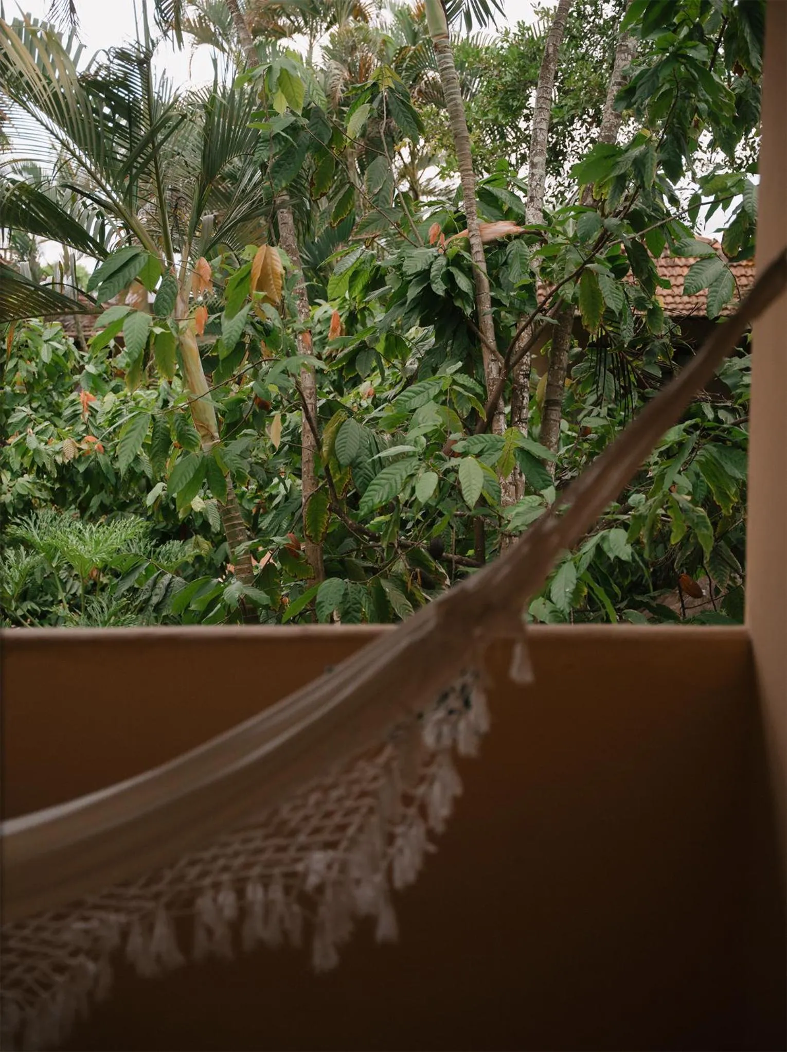Balcony/Terrace in Pousada Erva Doce