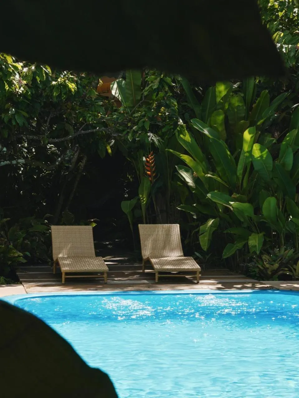 Garden view in Pousada Erva Doce