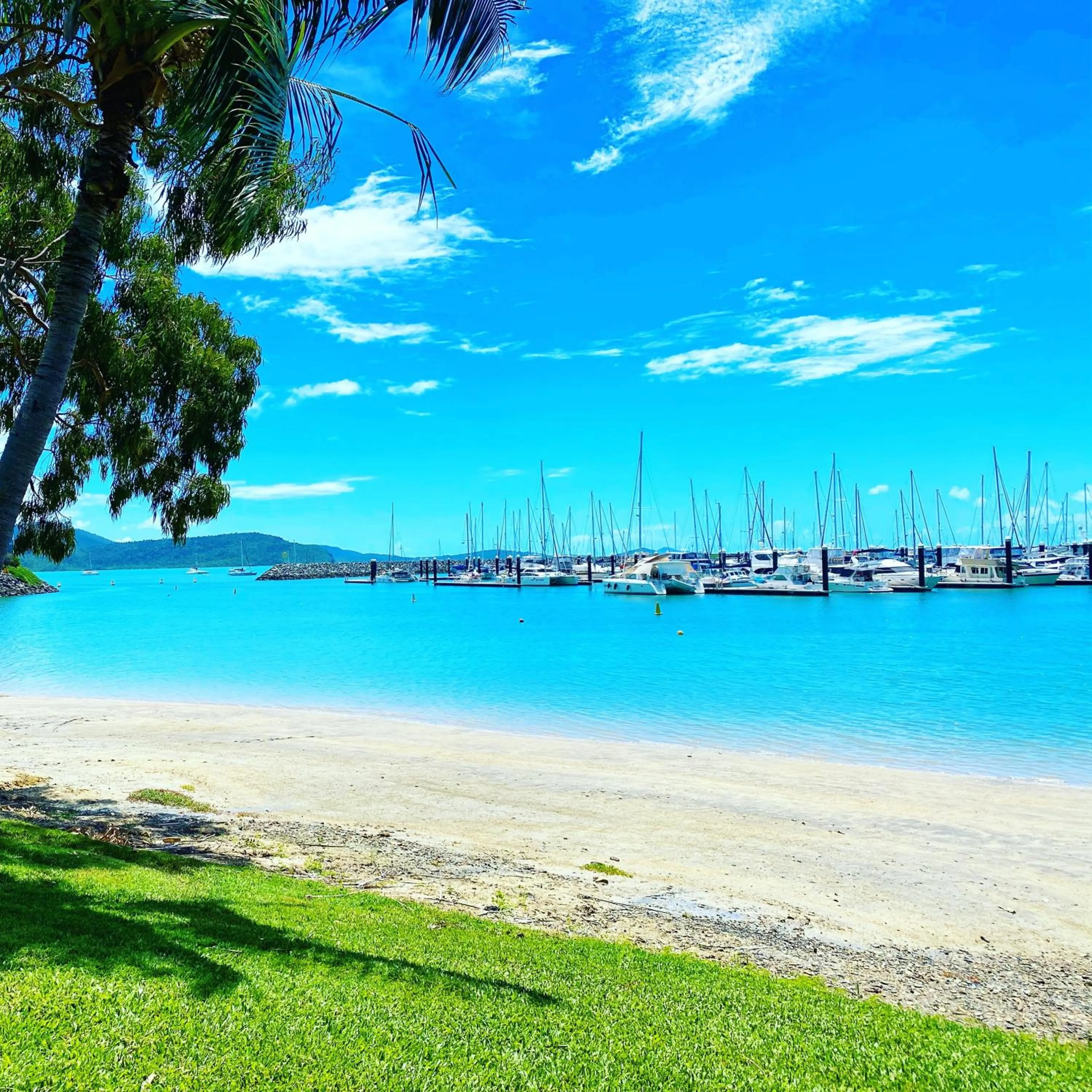 Sea view in Shingley Beach Resort - Whitsundays