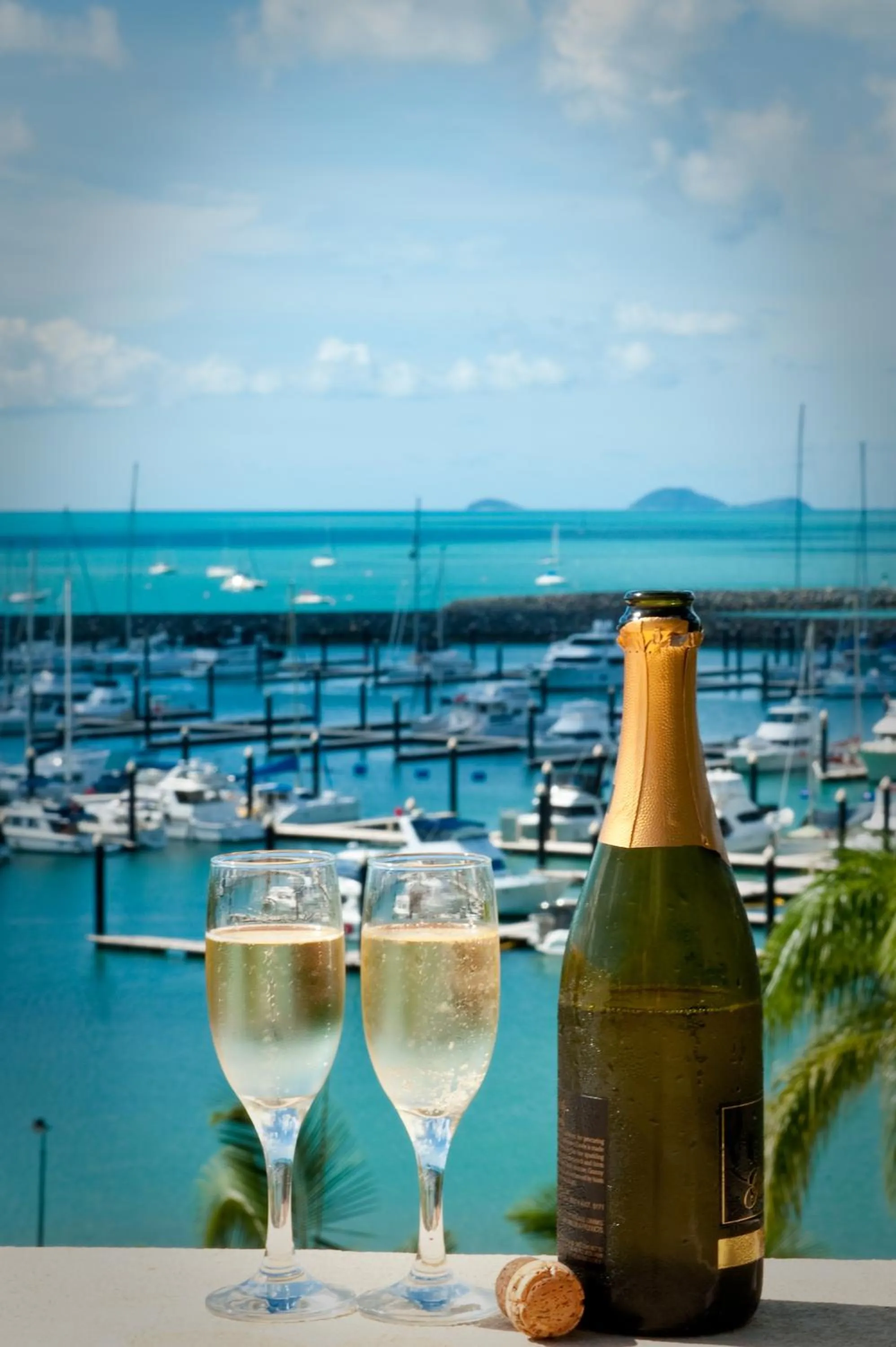 Natural landscape in Shingley Beach Resort - Whitsundays