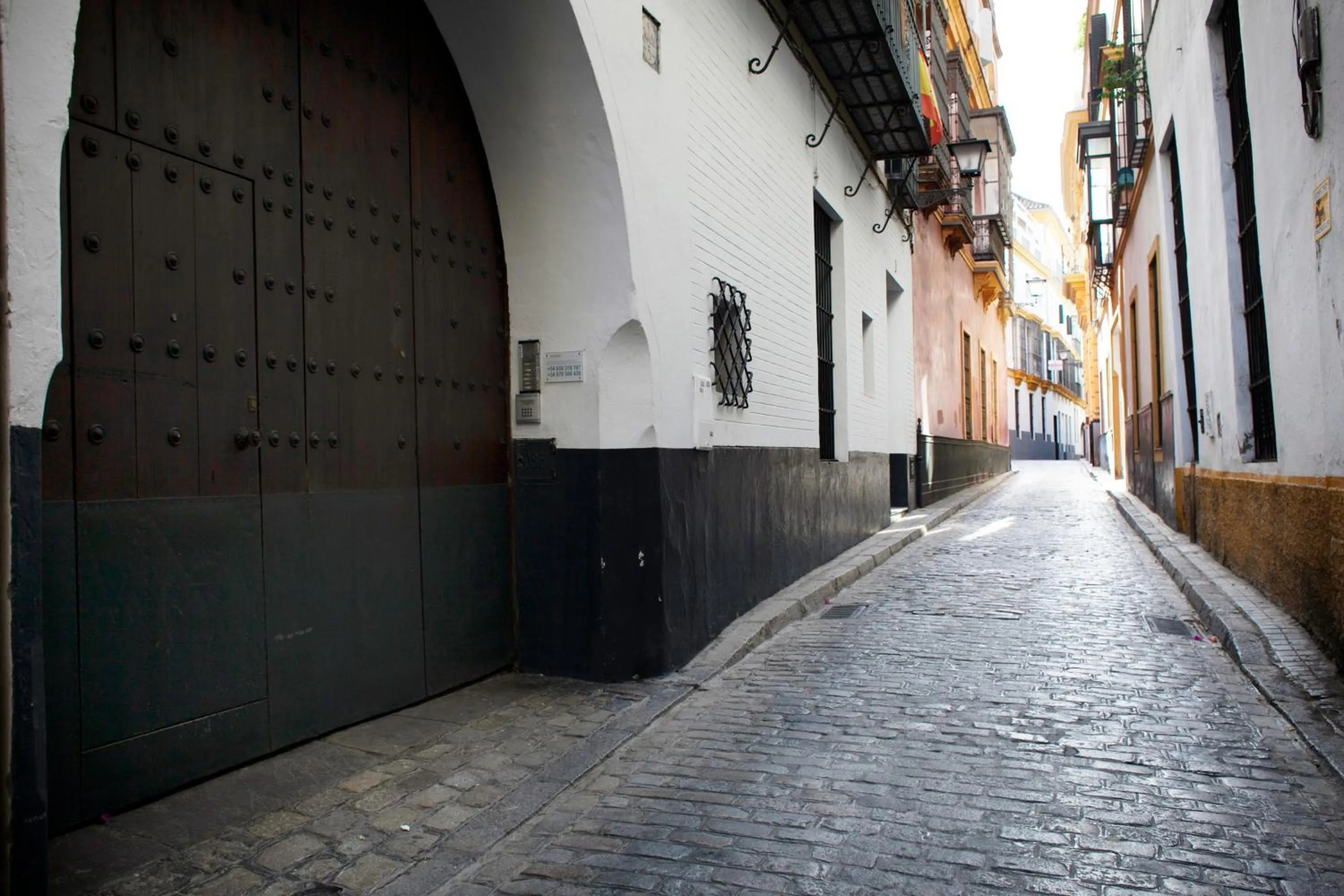 Alohamundi Catedral