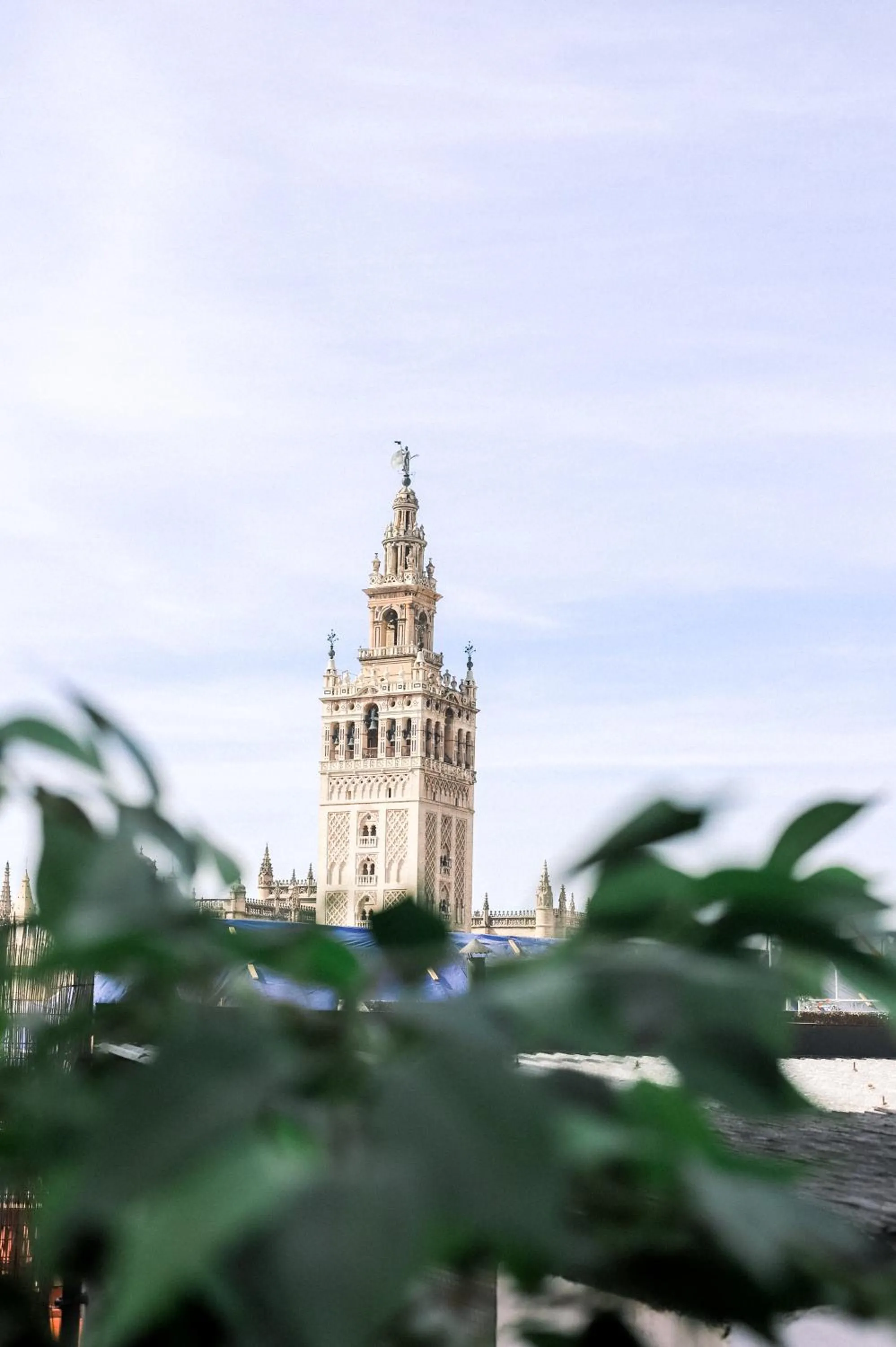 Alohamundi Catedral