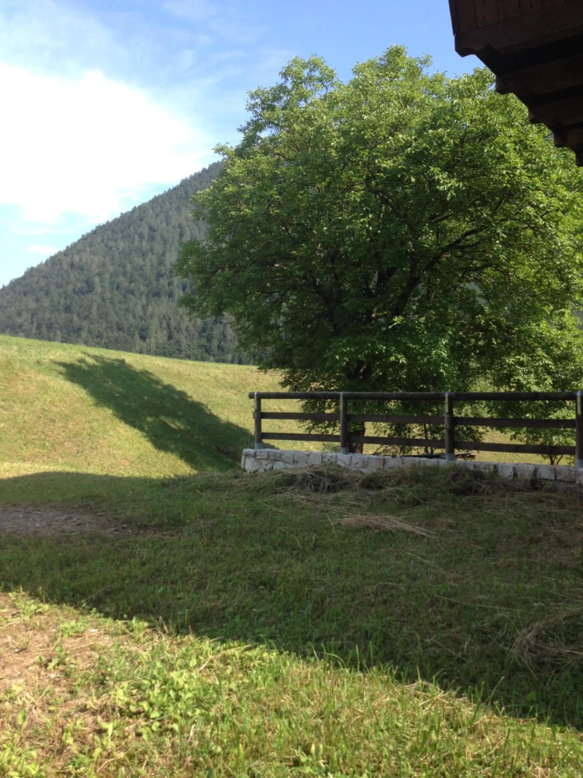 Natural landscape in Albergo Maggiorina