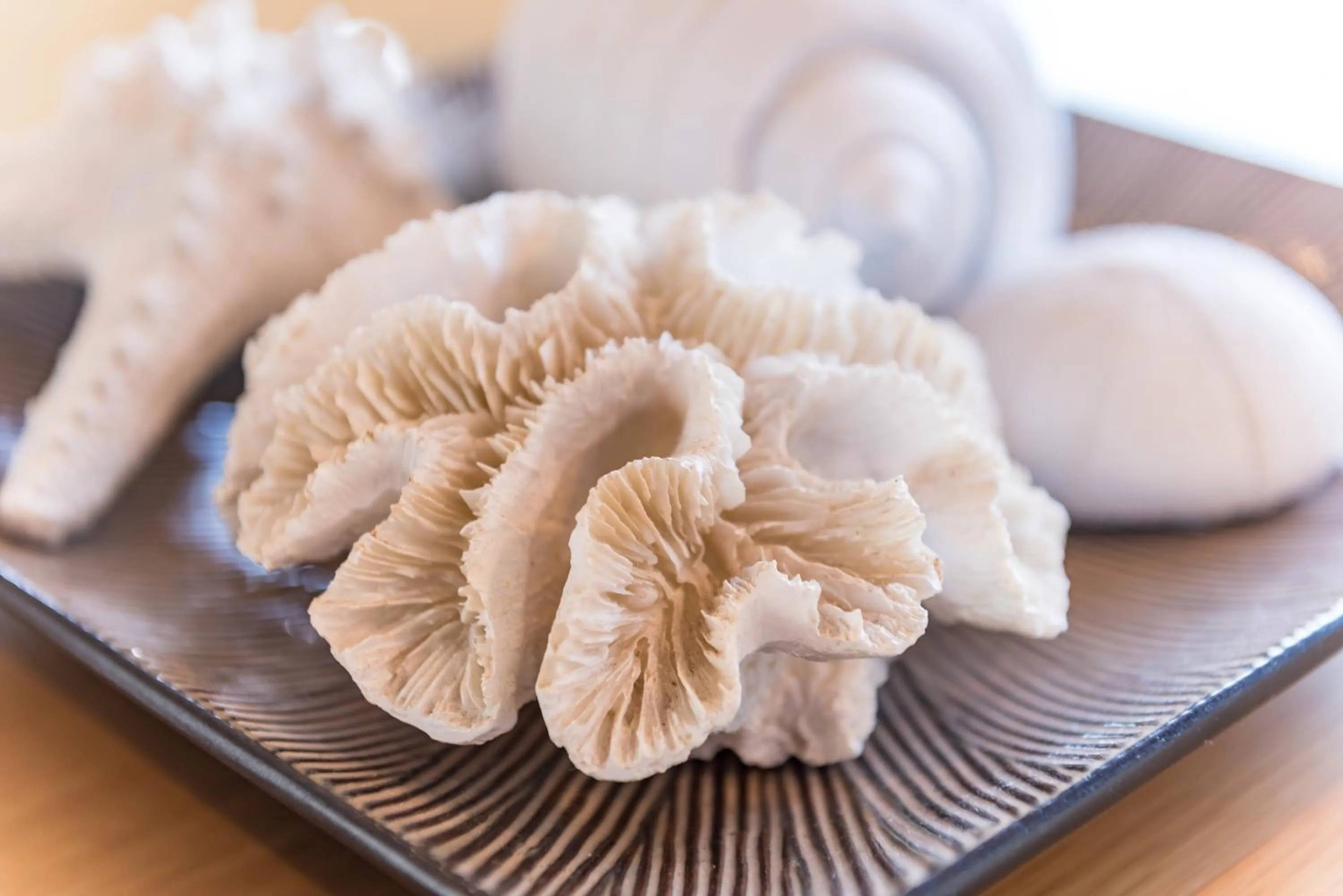 Decorative detail in Blue Pacific Apartments