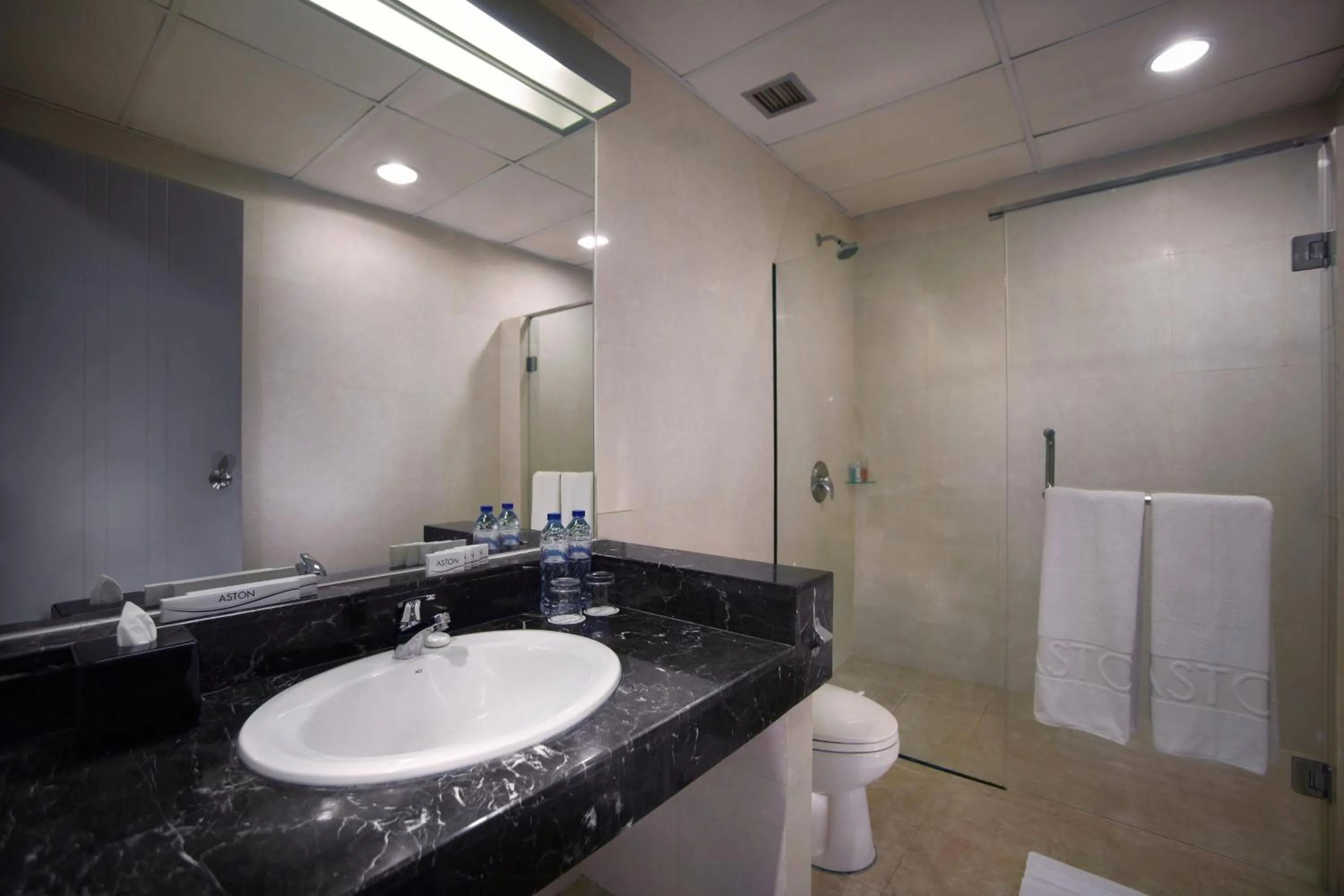 Bathroom in Royal Palm Hotel & Conference Center Cengkareng