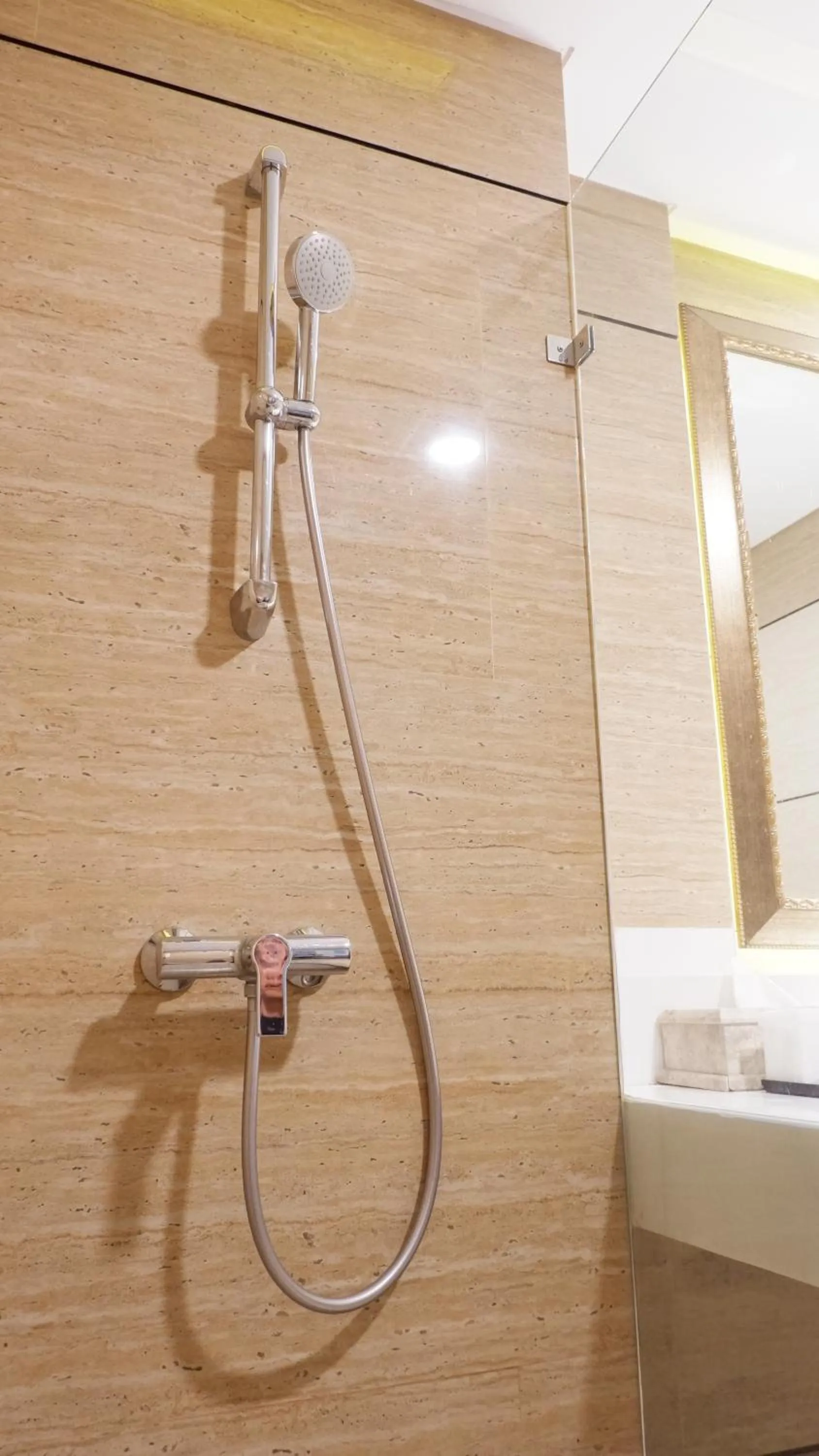 Shower in Royal Palm Hotel & Conference Center Cengkareng