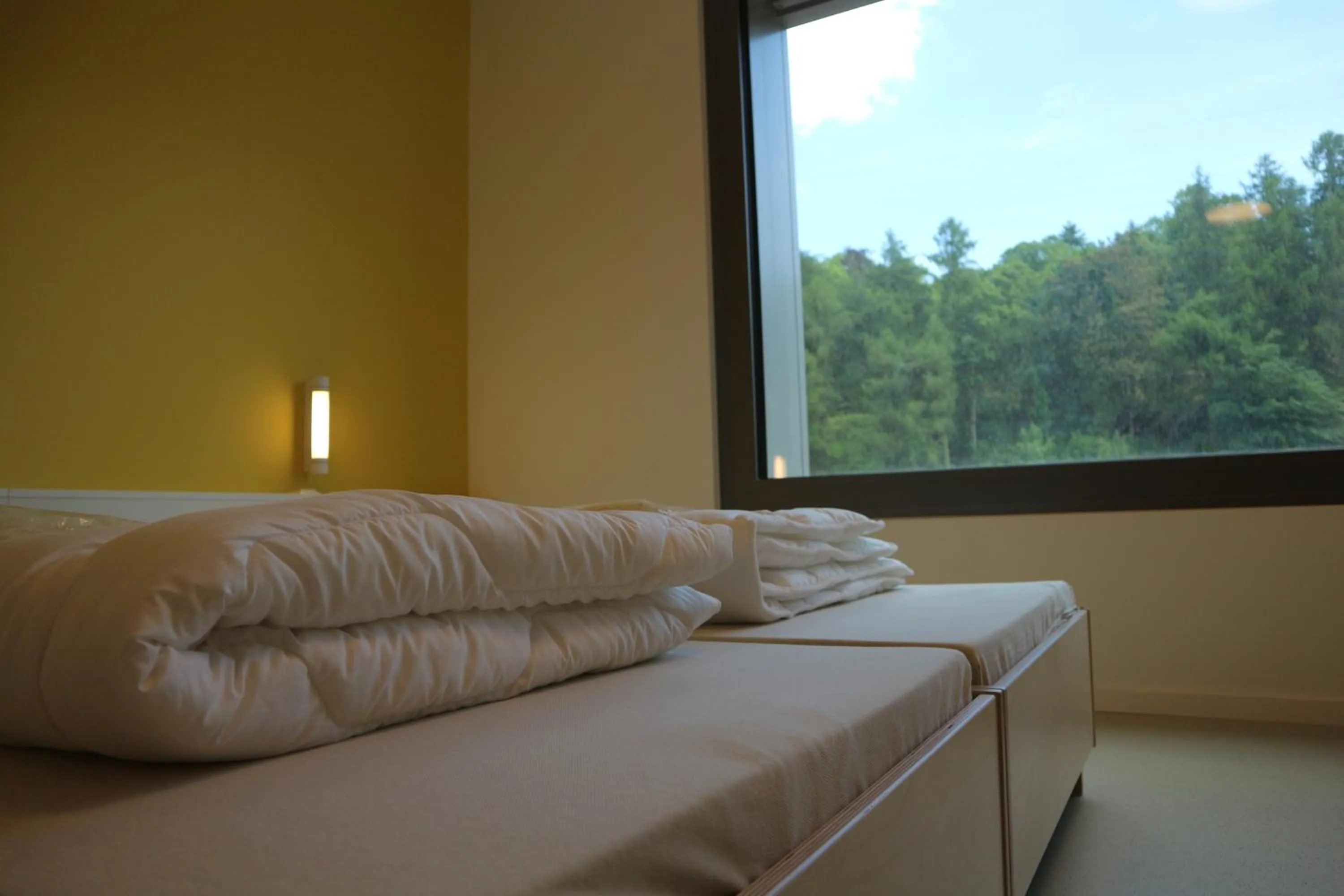 Bed in Youth Hostel Esch/Alzette