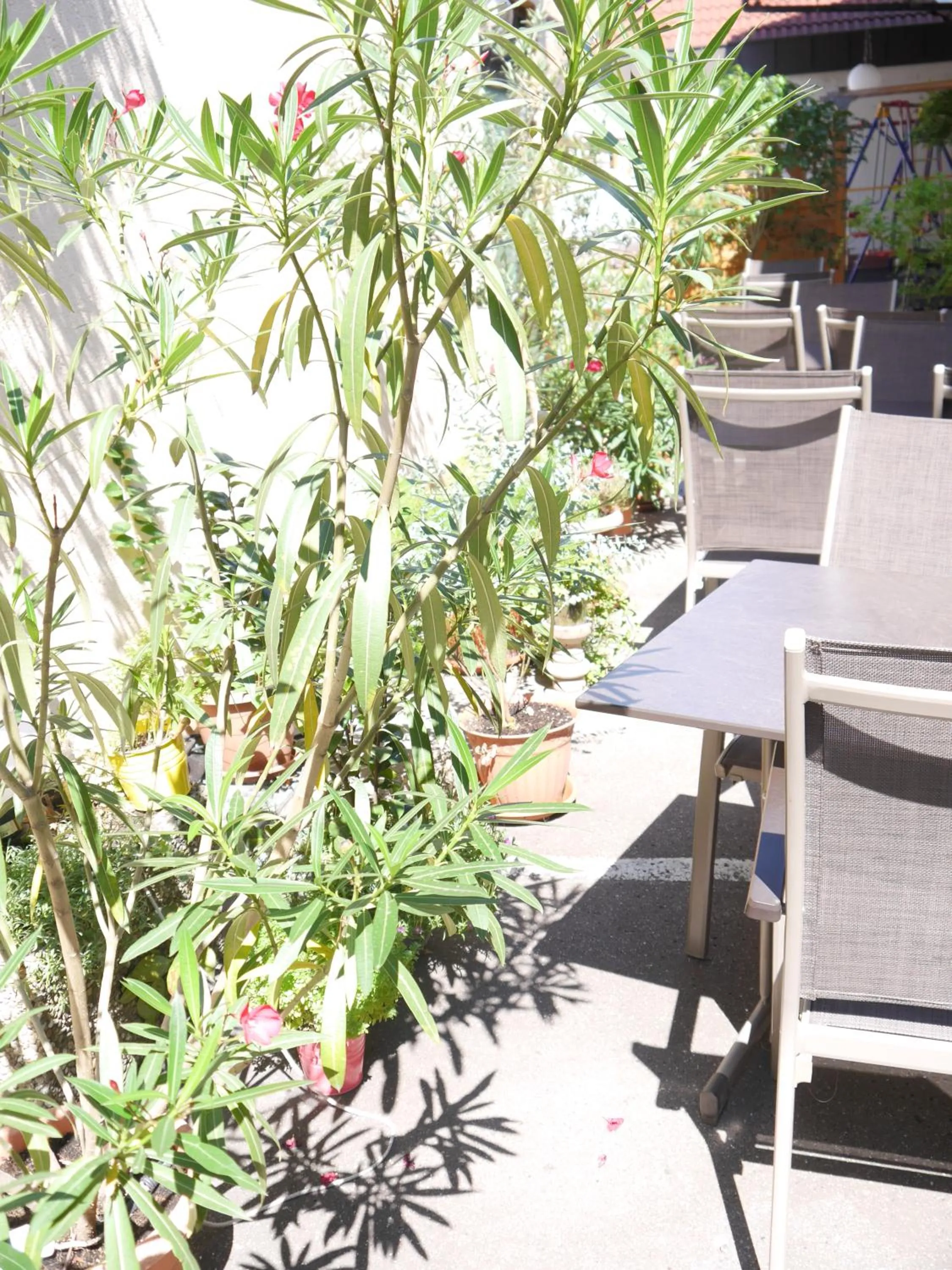 Patio in Hotel Landgasthof Blume
