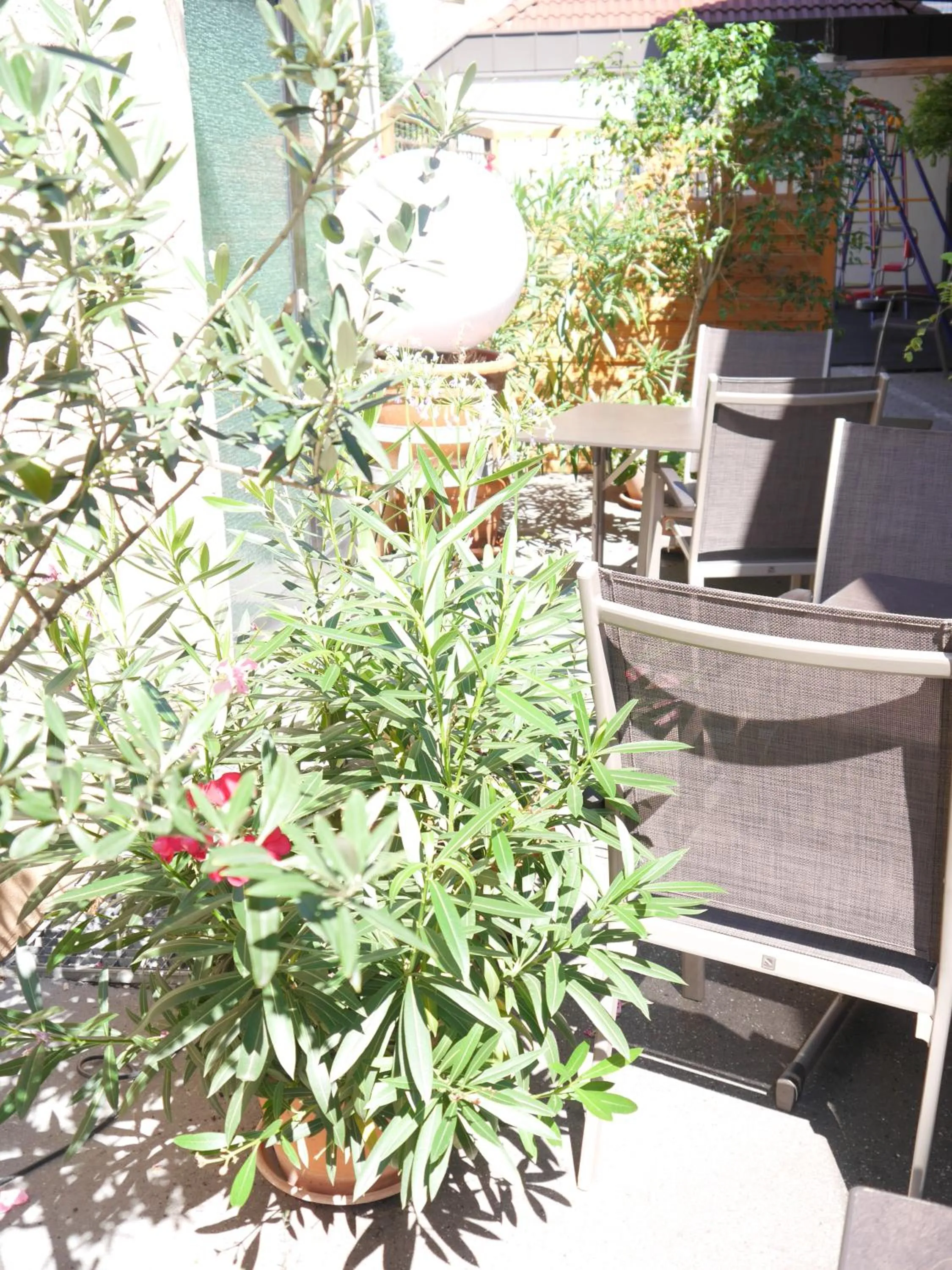 Balcony/Terrace in Hotel Landgasthof Blume