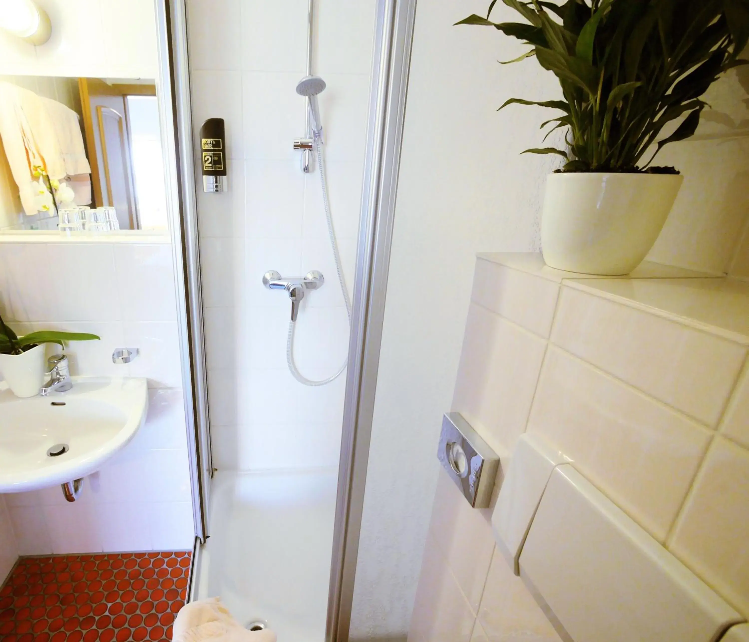 Standard Double Room in Hotel Landgasthof Blume Standard Double Room in Hotel Landgasthof Blume