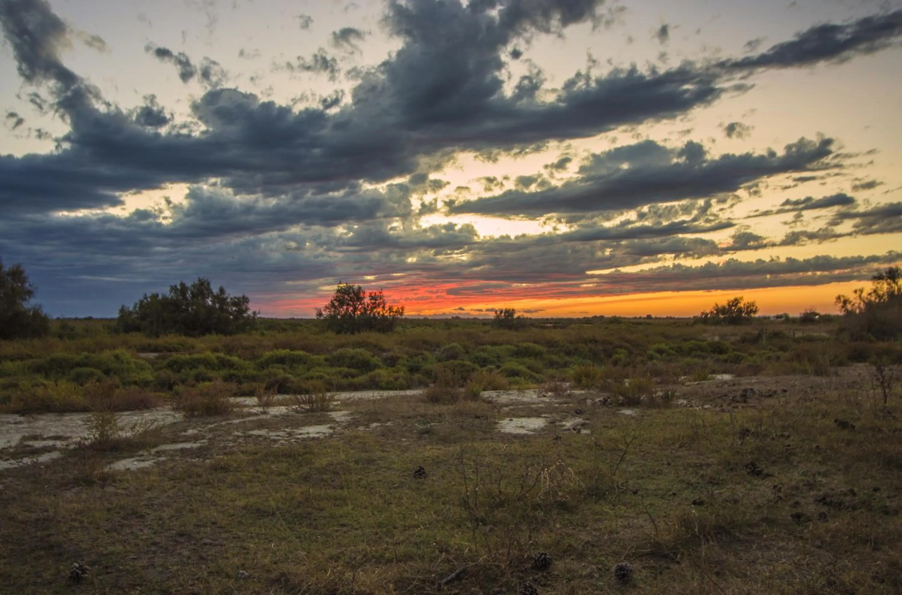 View (from property/room) in Hôtel La Palunette