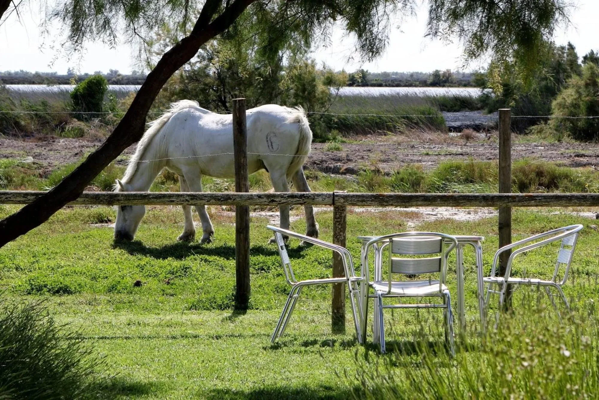 View (from property/room) in Hôtel La Palunette