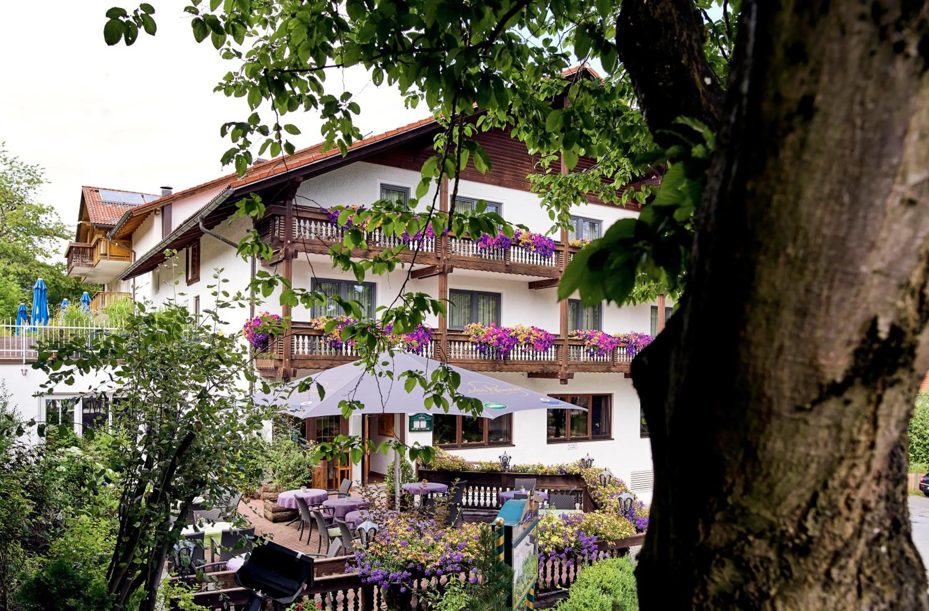 Facade/entrance in Das Reiners