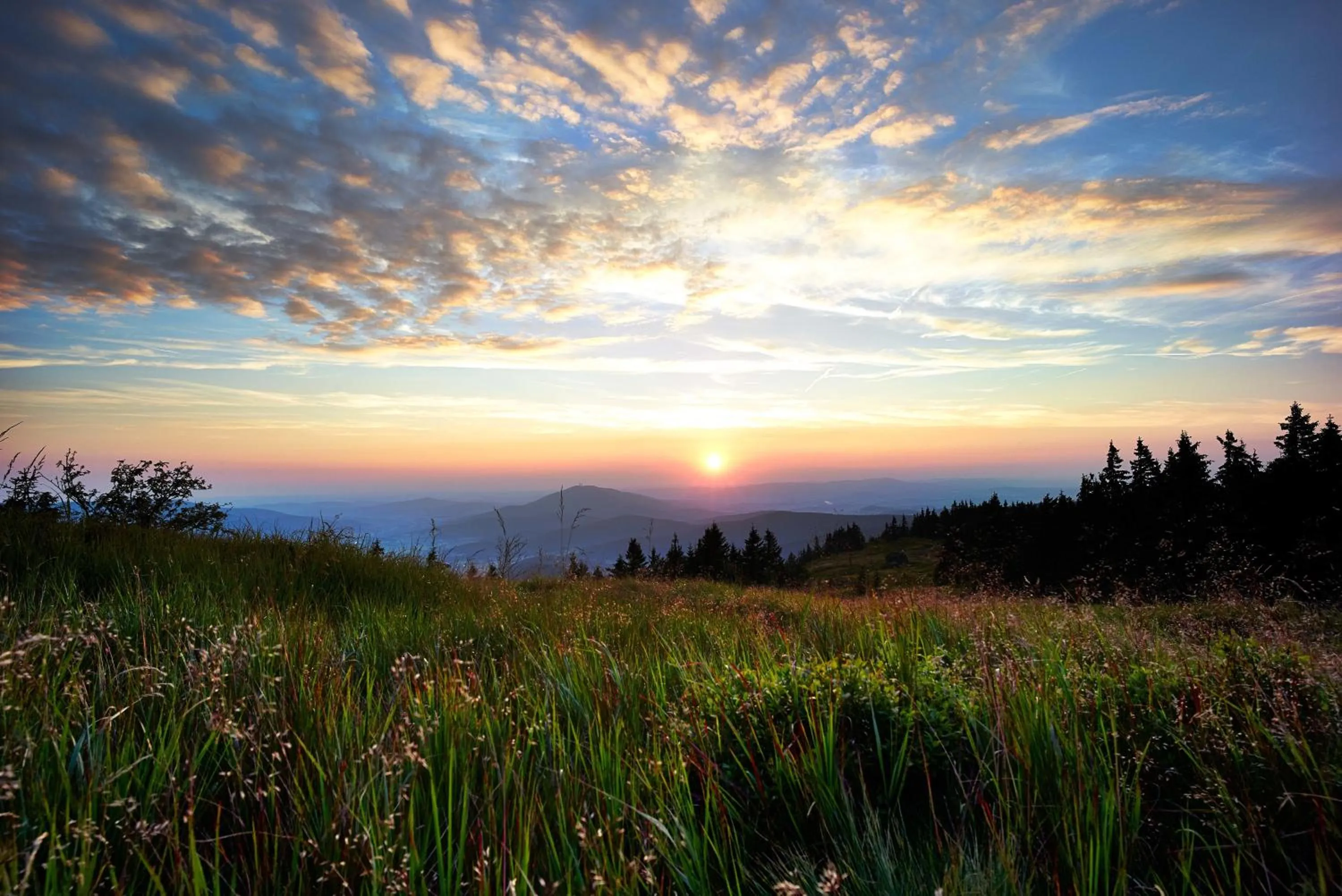 Natural landscape in Das Reiners