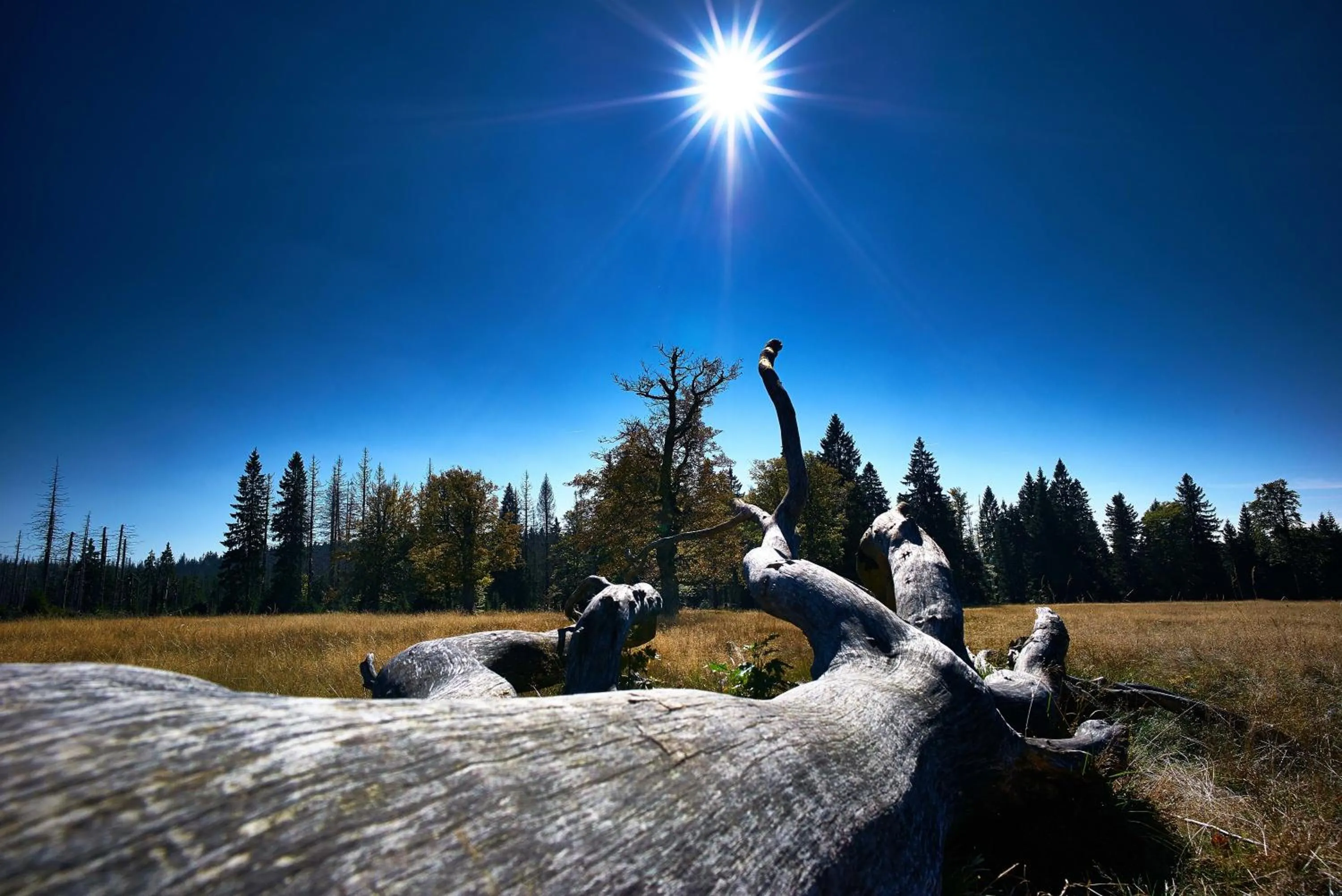 Night in Das Reiners