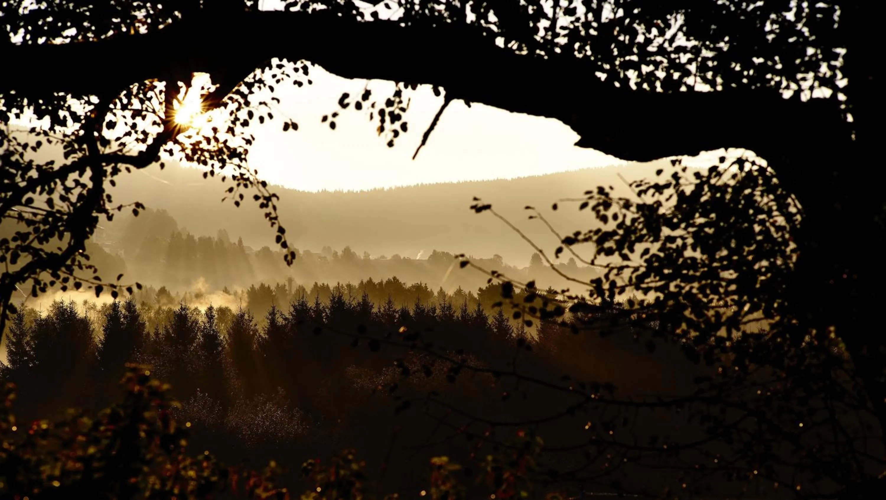 Other in Das Reiners