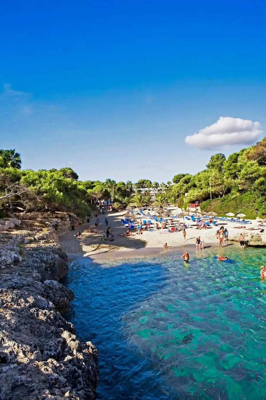 Beach in Hotel Palia Dolce Farniente 3 Sup