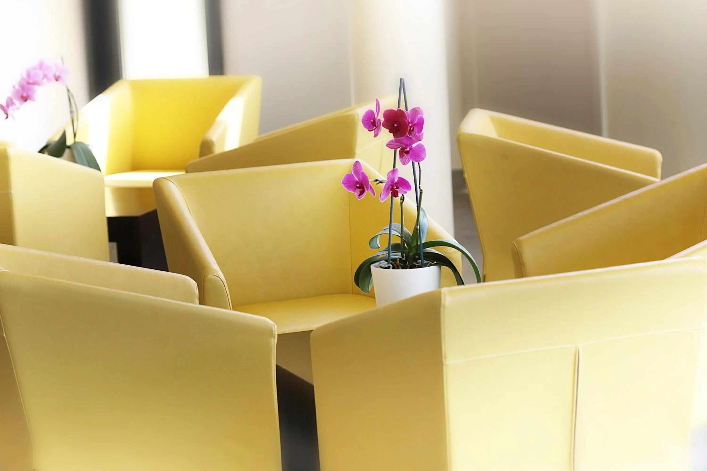 Lobby or reception in Hotel Europa