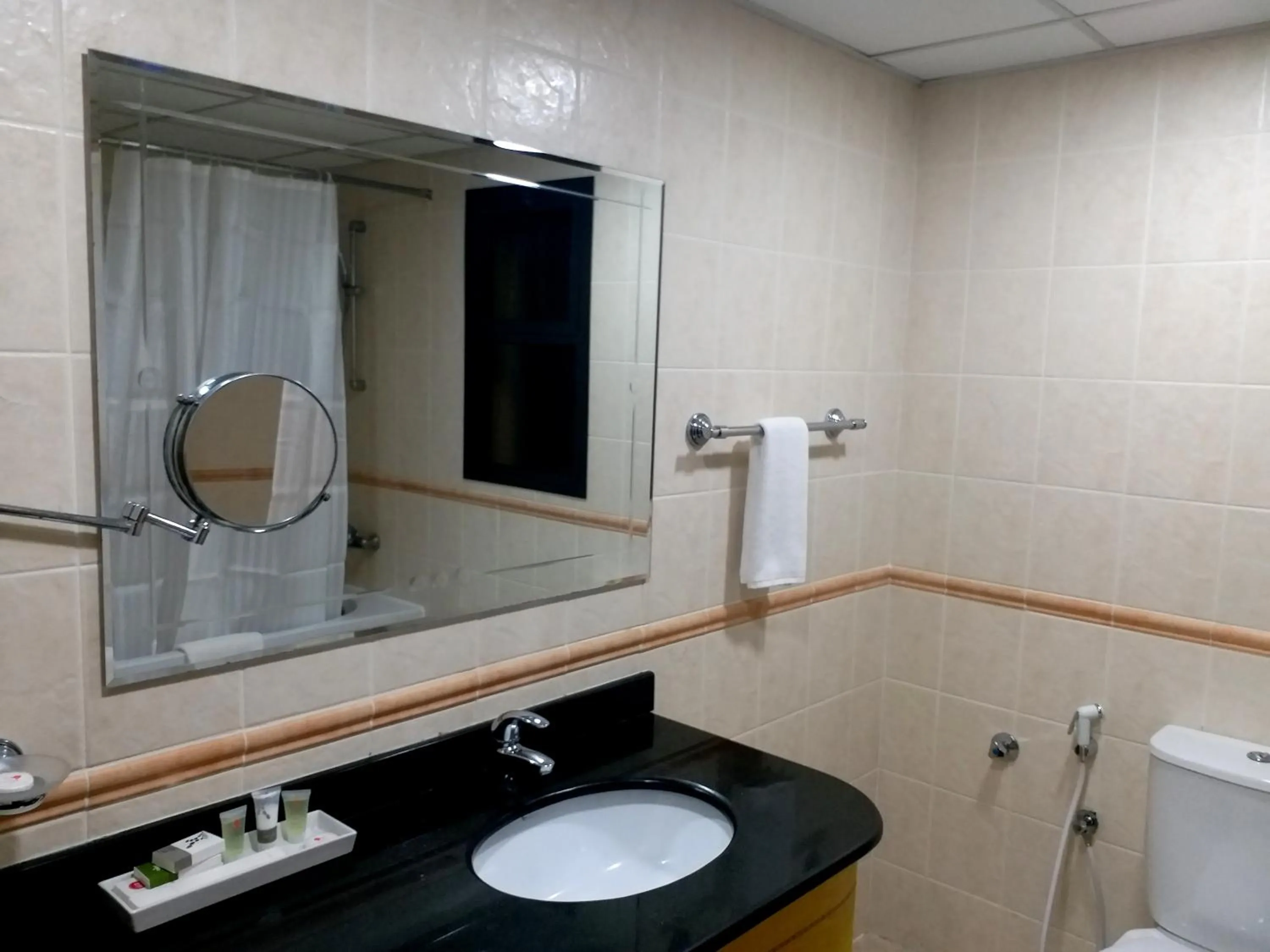 Bathroom in Taj Plaza Hotel