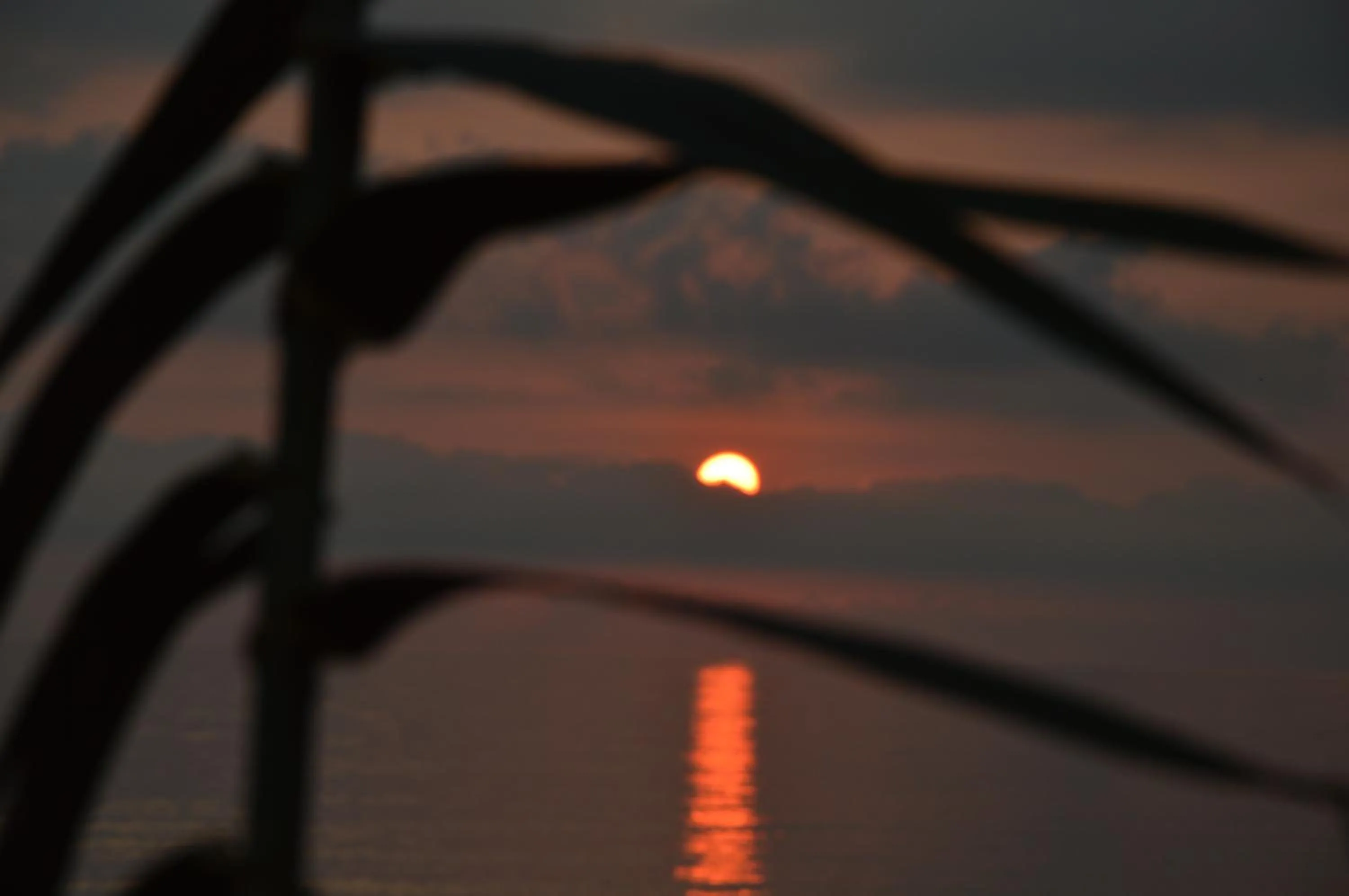 Property building in Residence Verde Blu