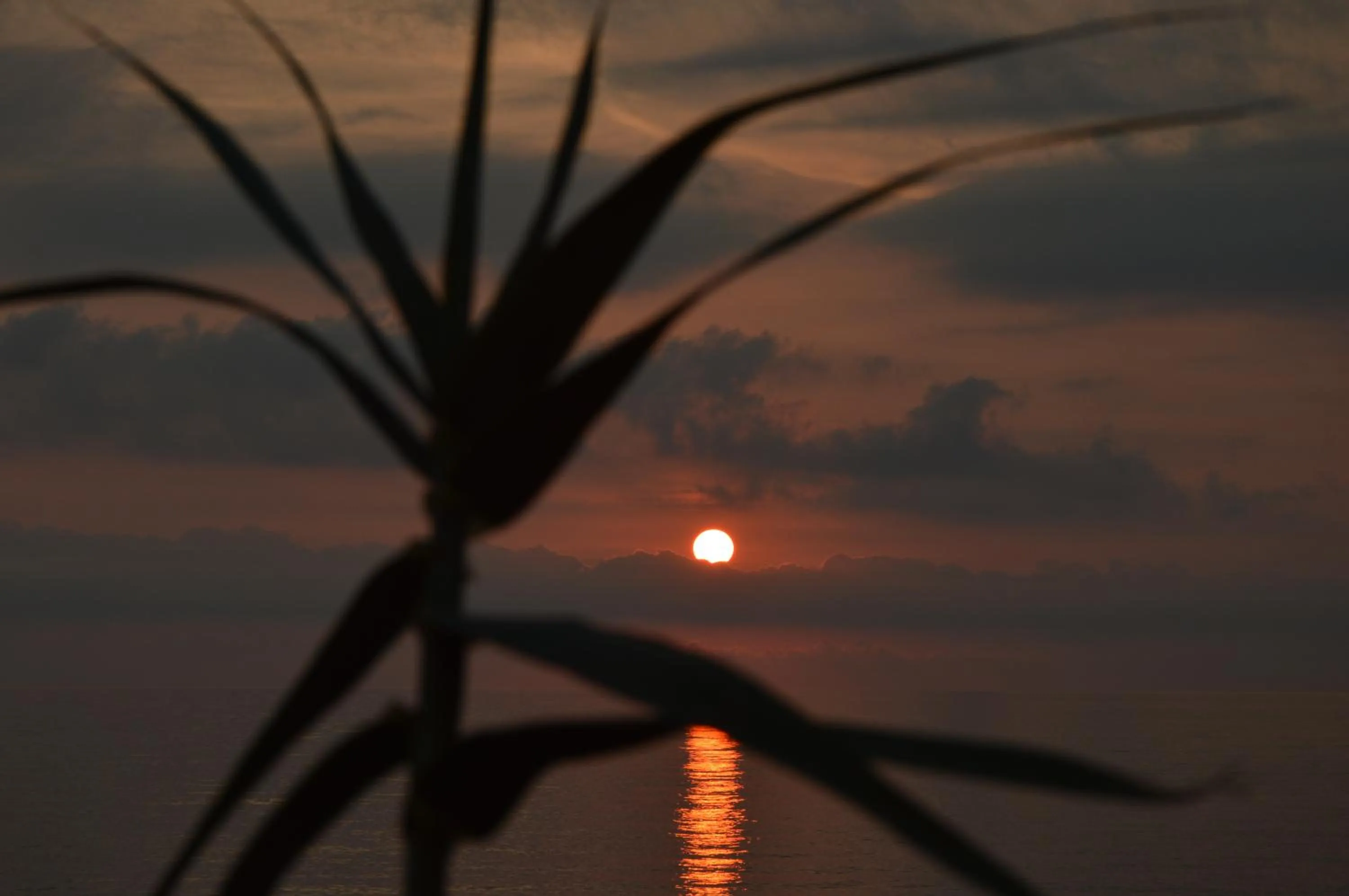 Property building in Residence Verde Blu