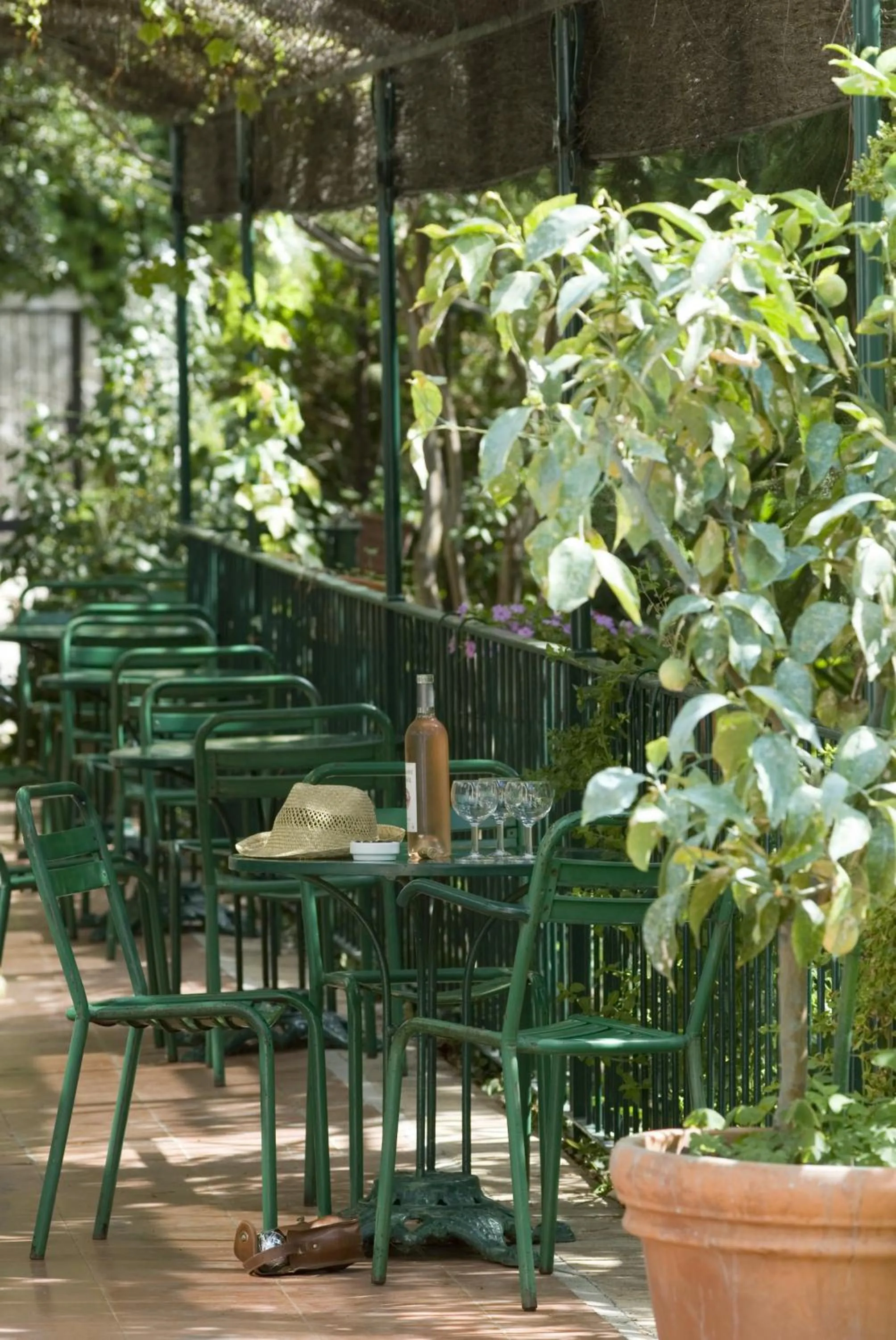 Garden in Auberge De La Madone