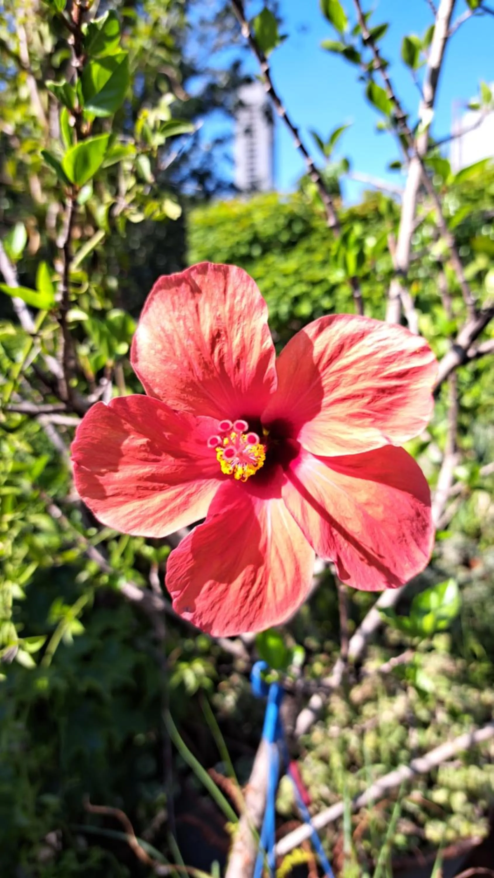 Property building in Boutique Hotel Casa Rugantino