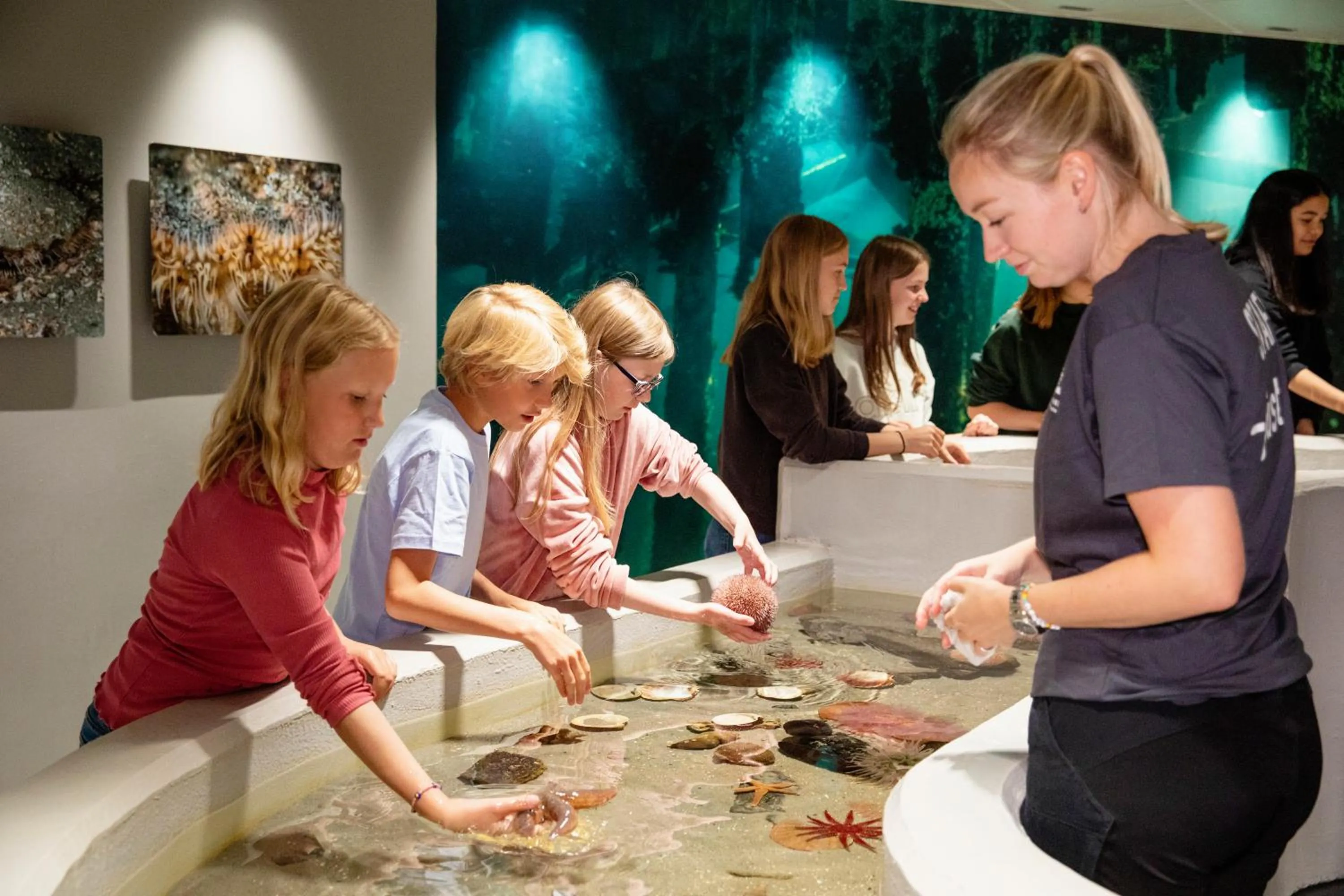 Nearby landmark in Hotel Noreg