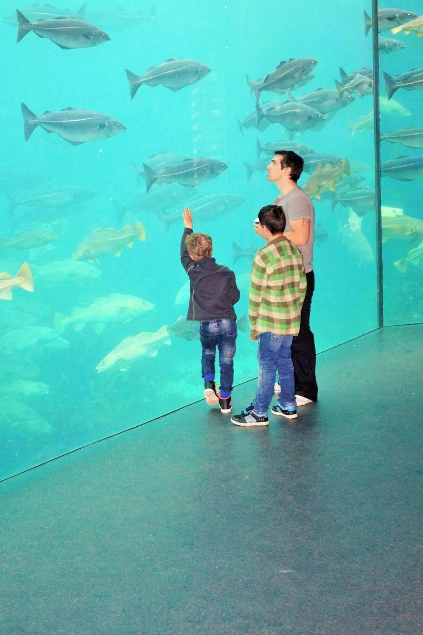 Activities in Hotel Noreg