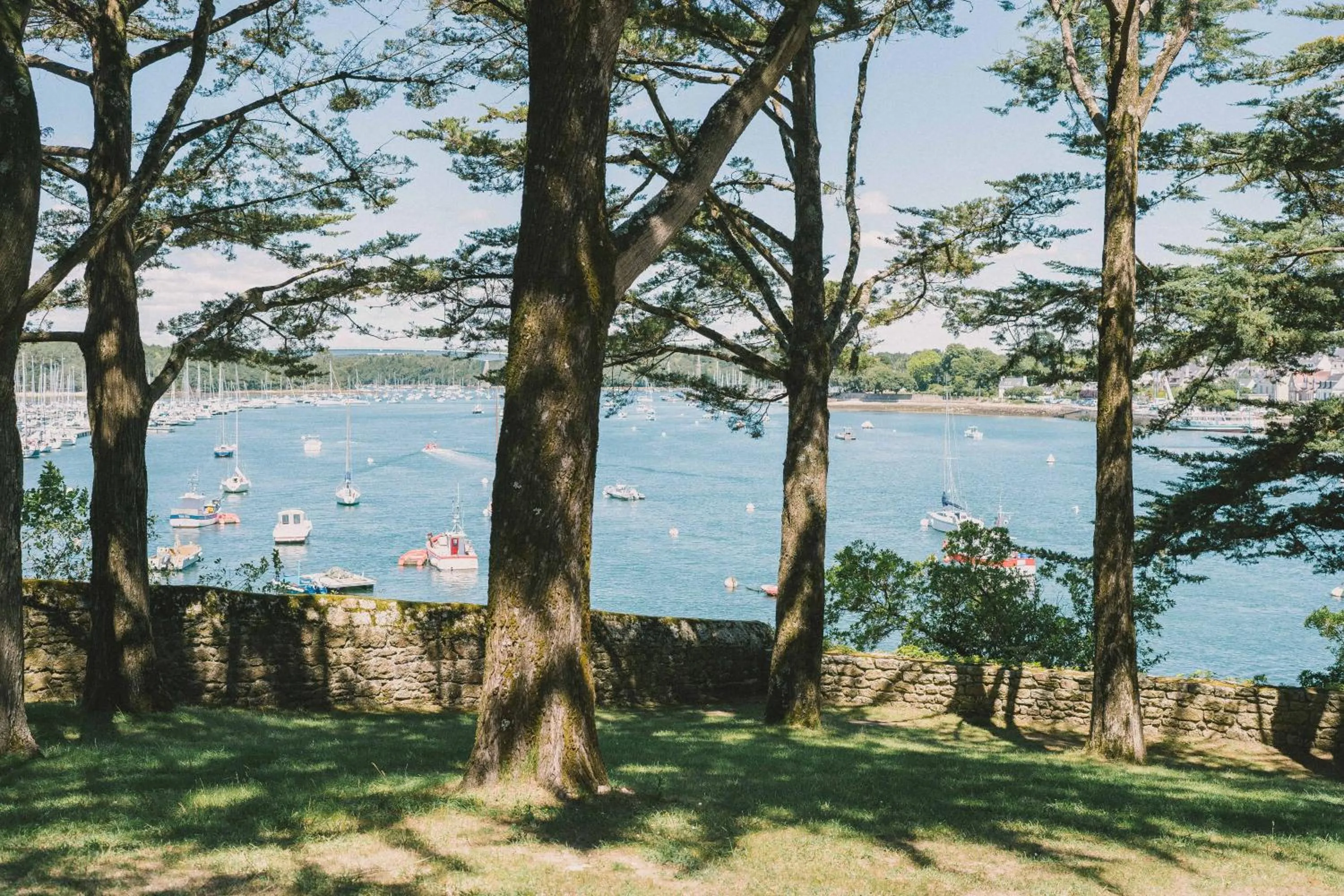 Garden view in Villa Tri Men