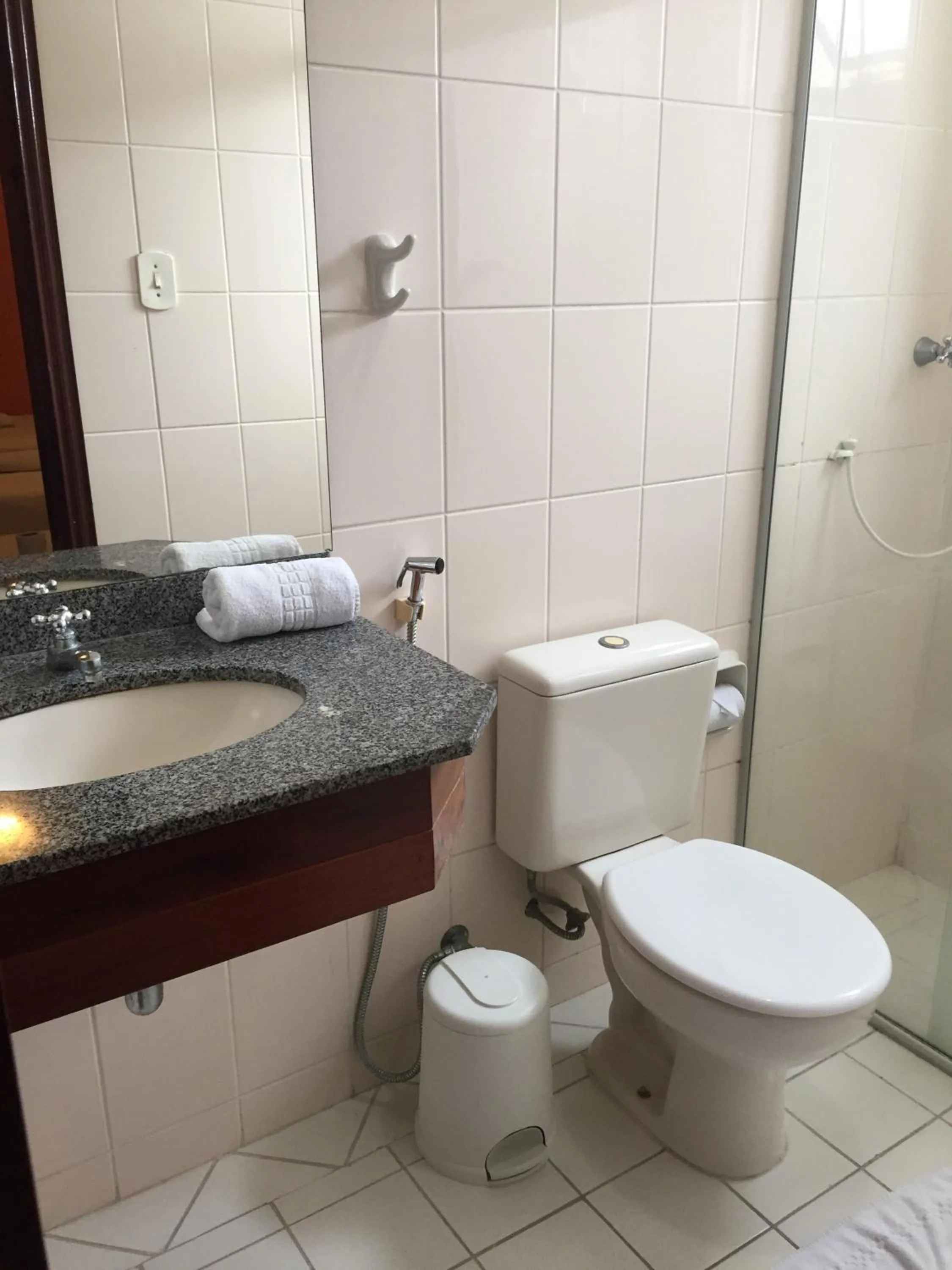 Toilet in Machado´s Plaza Hotel