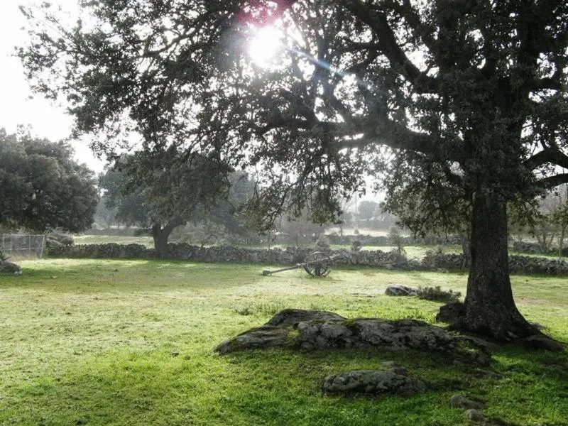 Natural landscape in La Trocha De Hoyorredondo