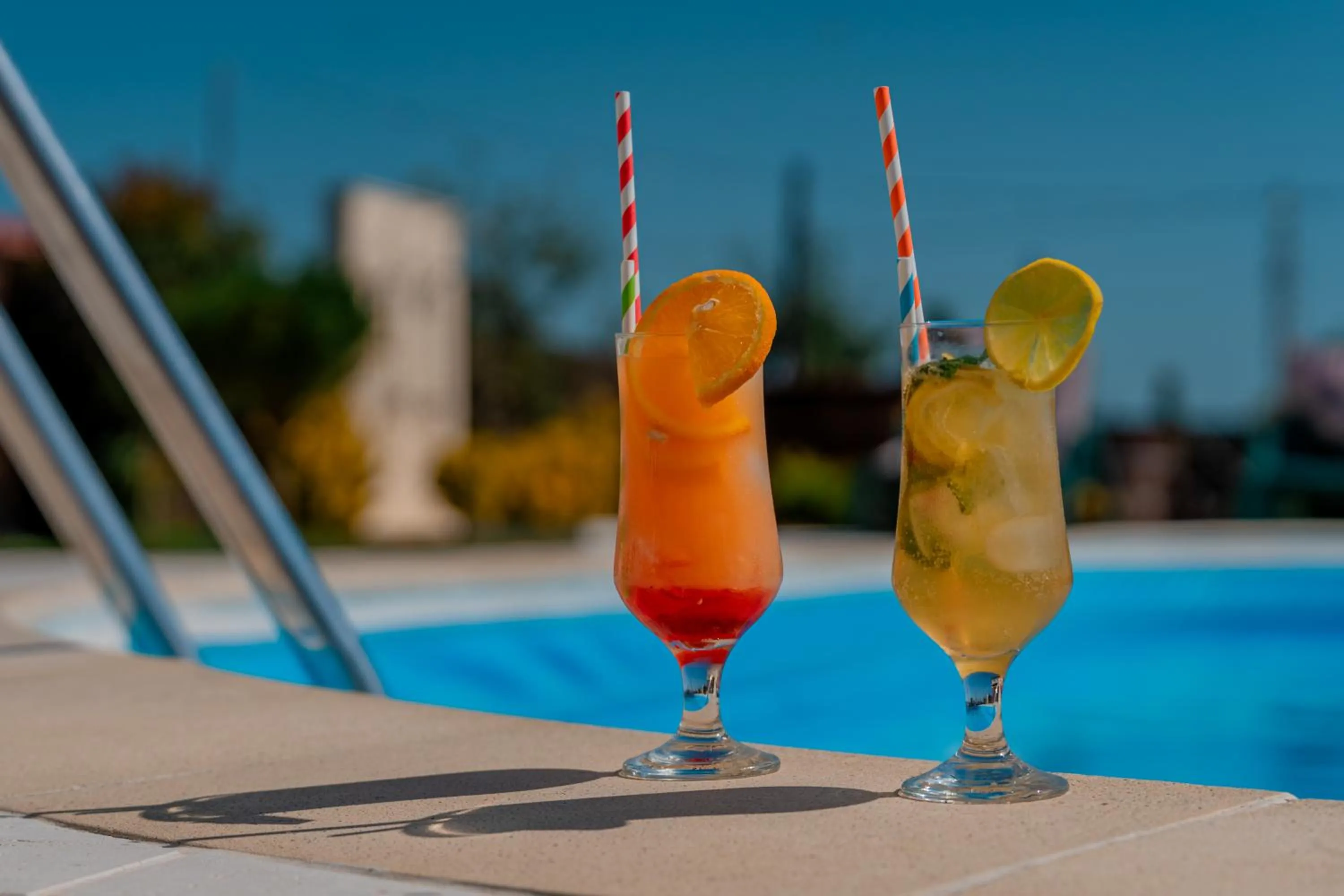 Pool view in Pensiunea Ovidiu